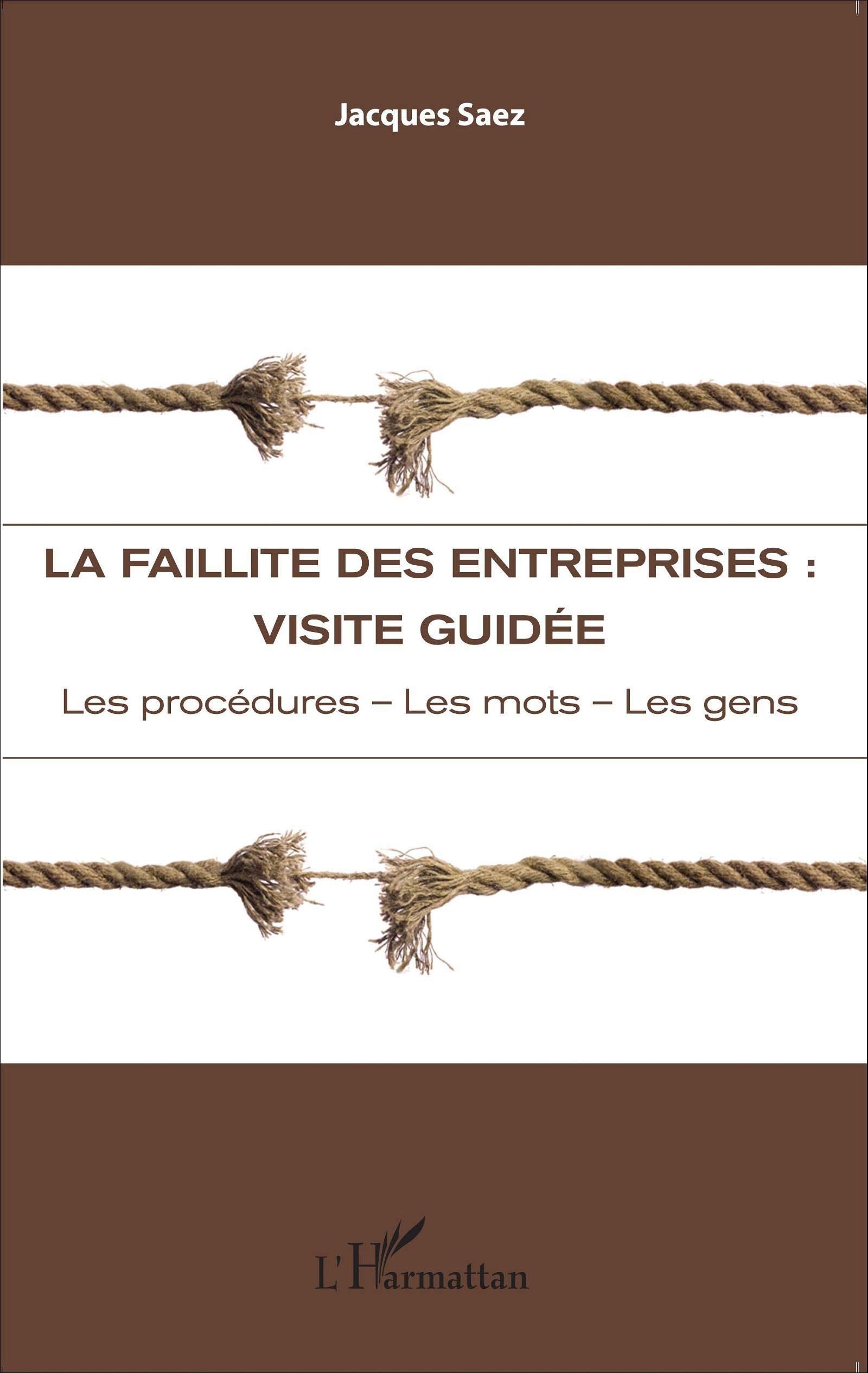 La faillite des entreprises : visite guidée: Les procédures - Les mots - Les gens book