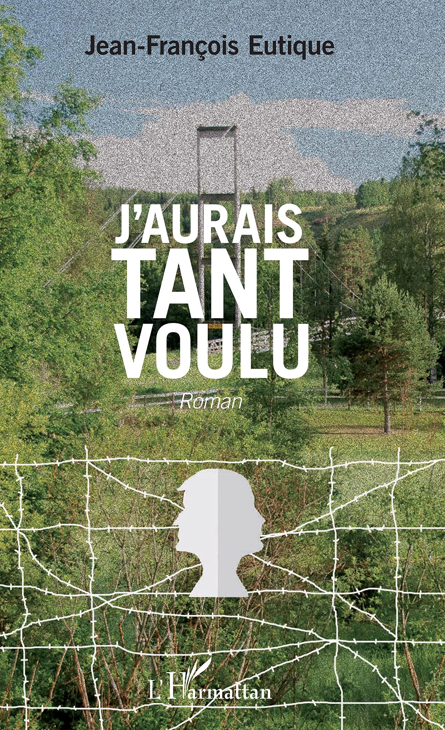 J'aurais tant voulu: Roman book