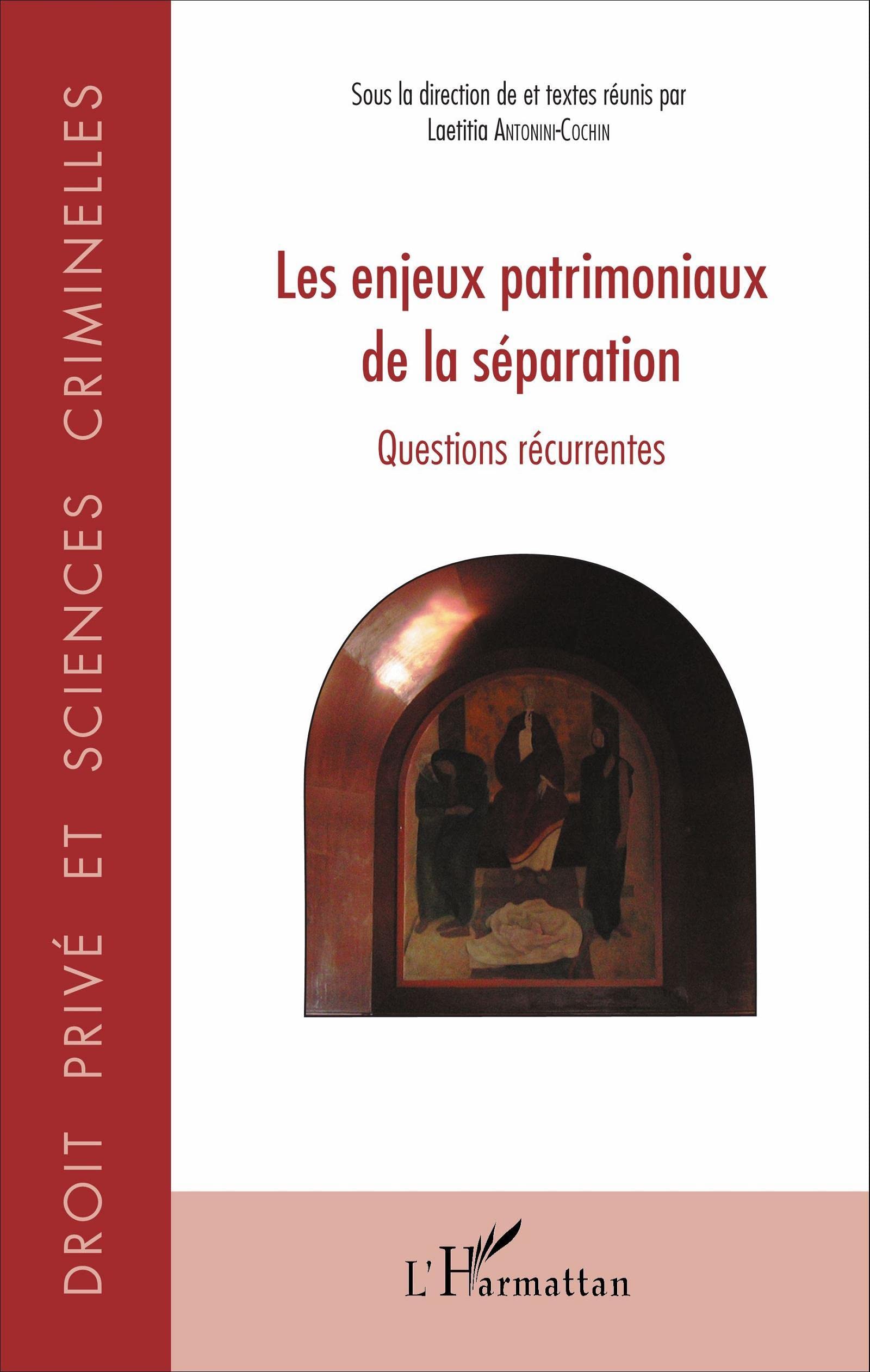 Les enjeux patrimoniaux de la séparation: Questions récurrentes book