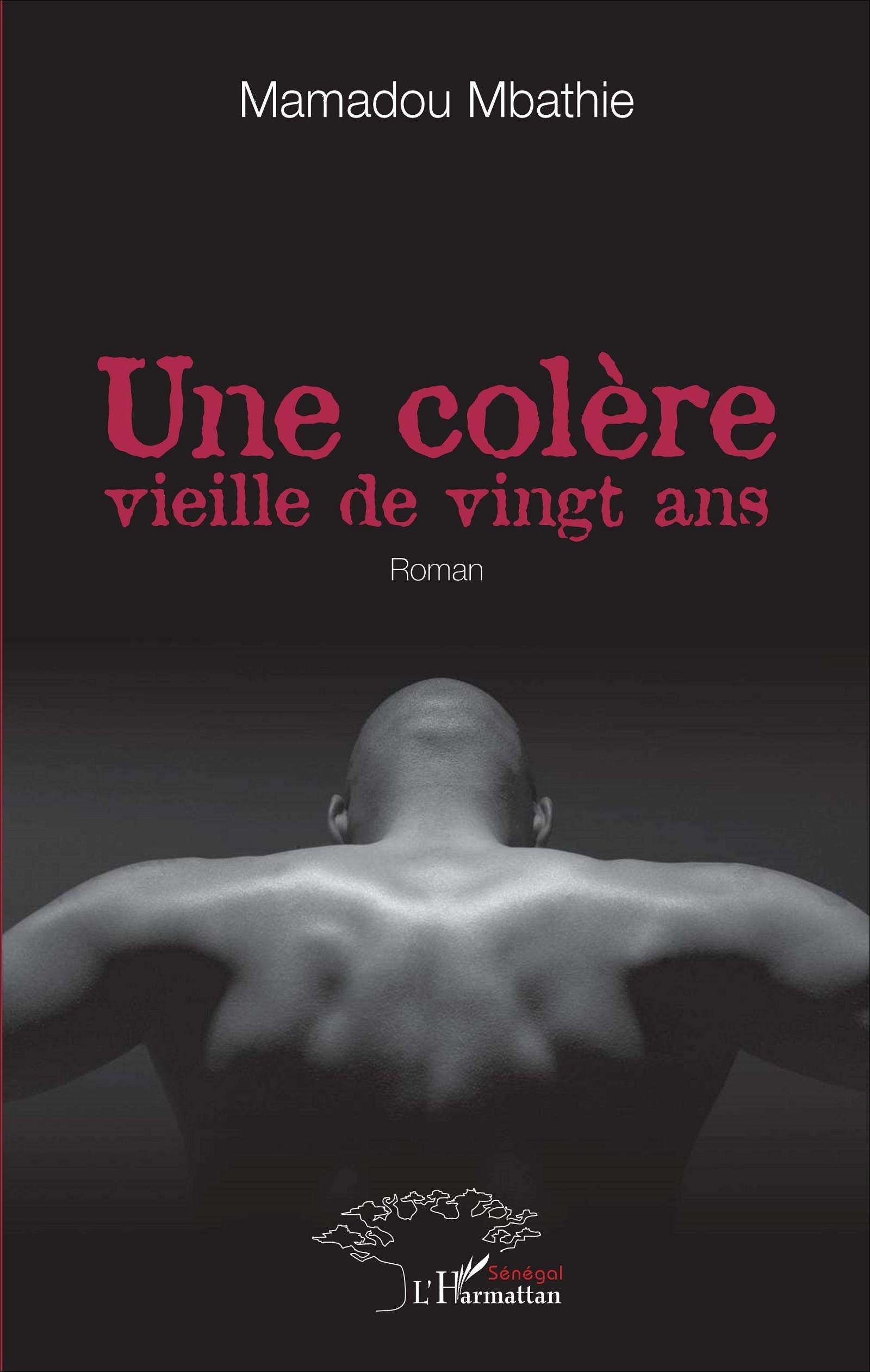 Une colère vieille de vingt ans: Roman book