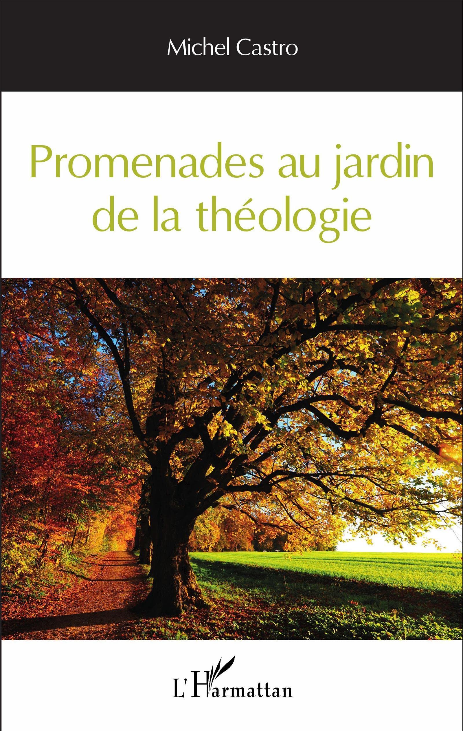 Promenades au jardin de la théologie Religion & Esotericism