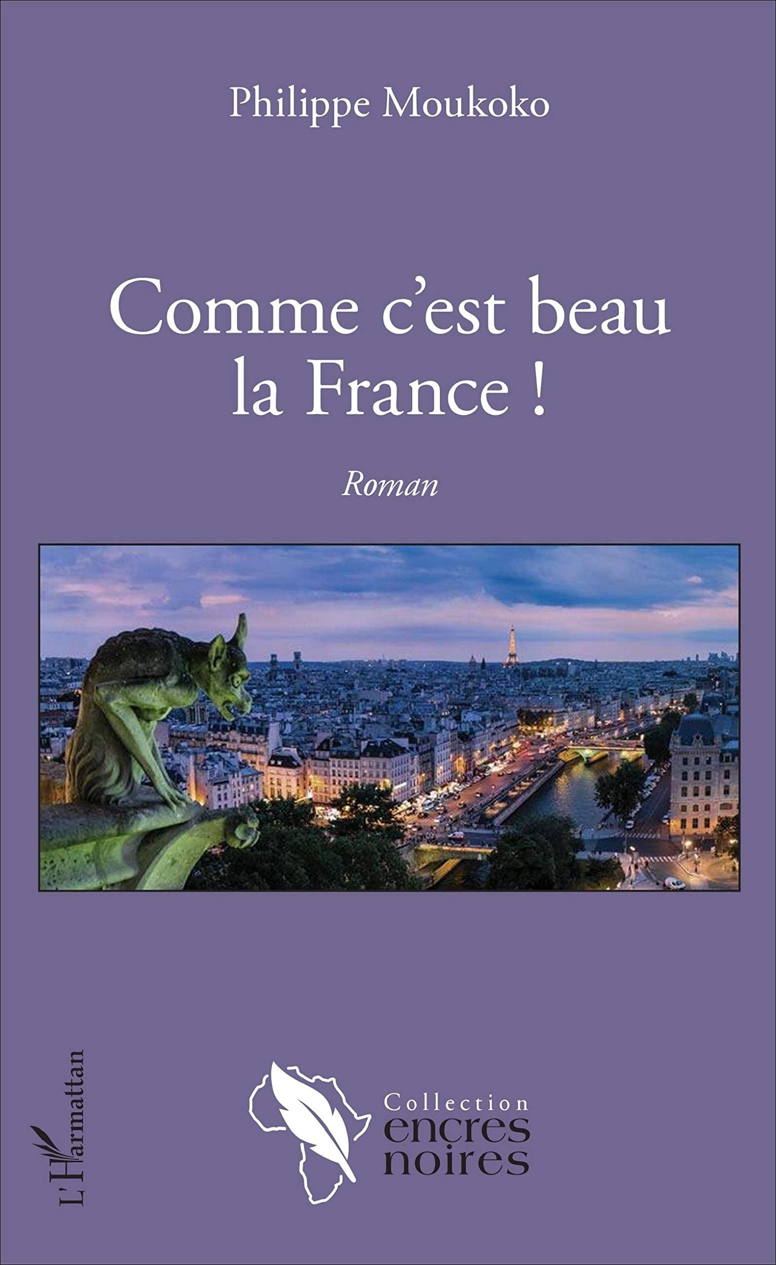 Comme c'est beau la France !: Roman book