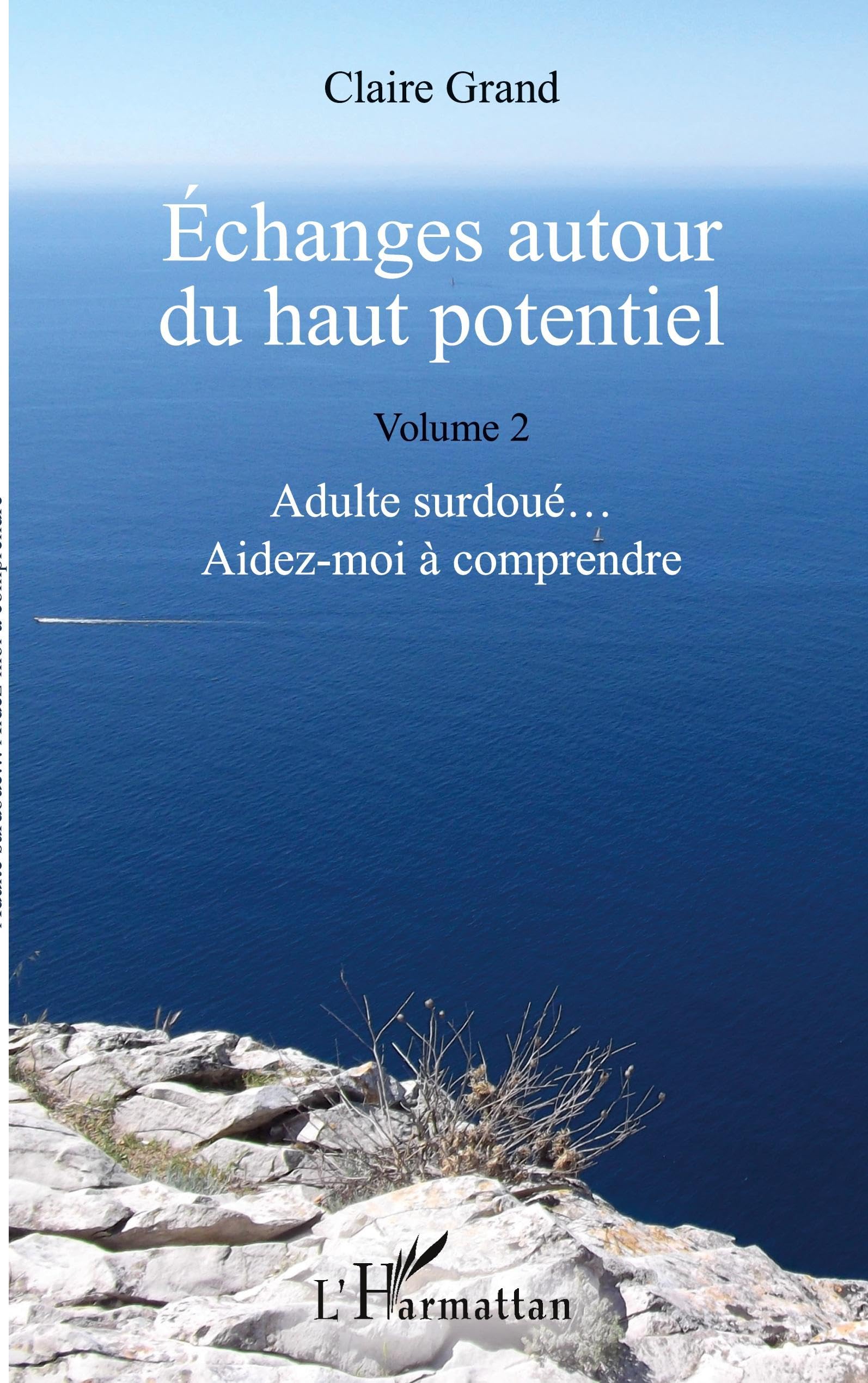 Échanges autour du haut potentiel: (Volume 2) Adulte surdoué... Aidez-moi à comprendre book