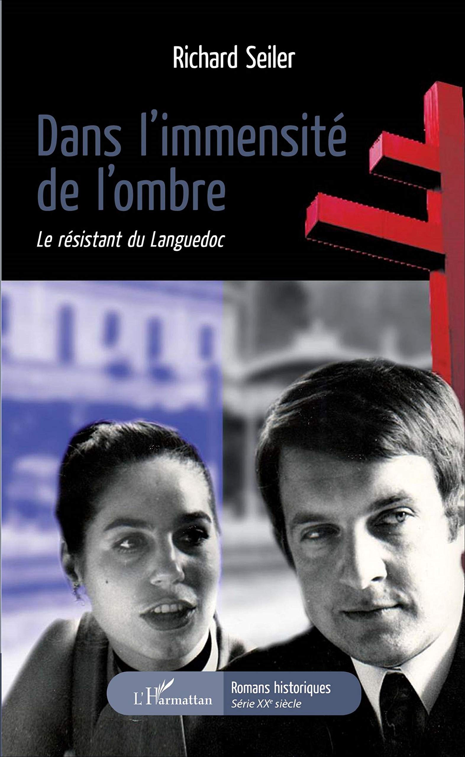 Dans l'immensité de l'ombre: Le résistant du Languedoc book