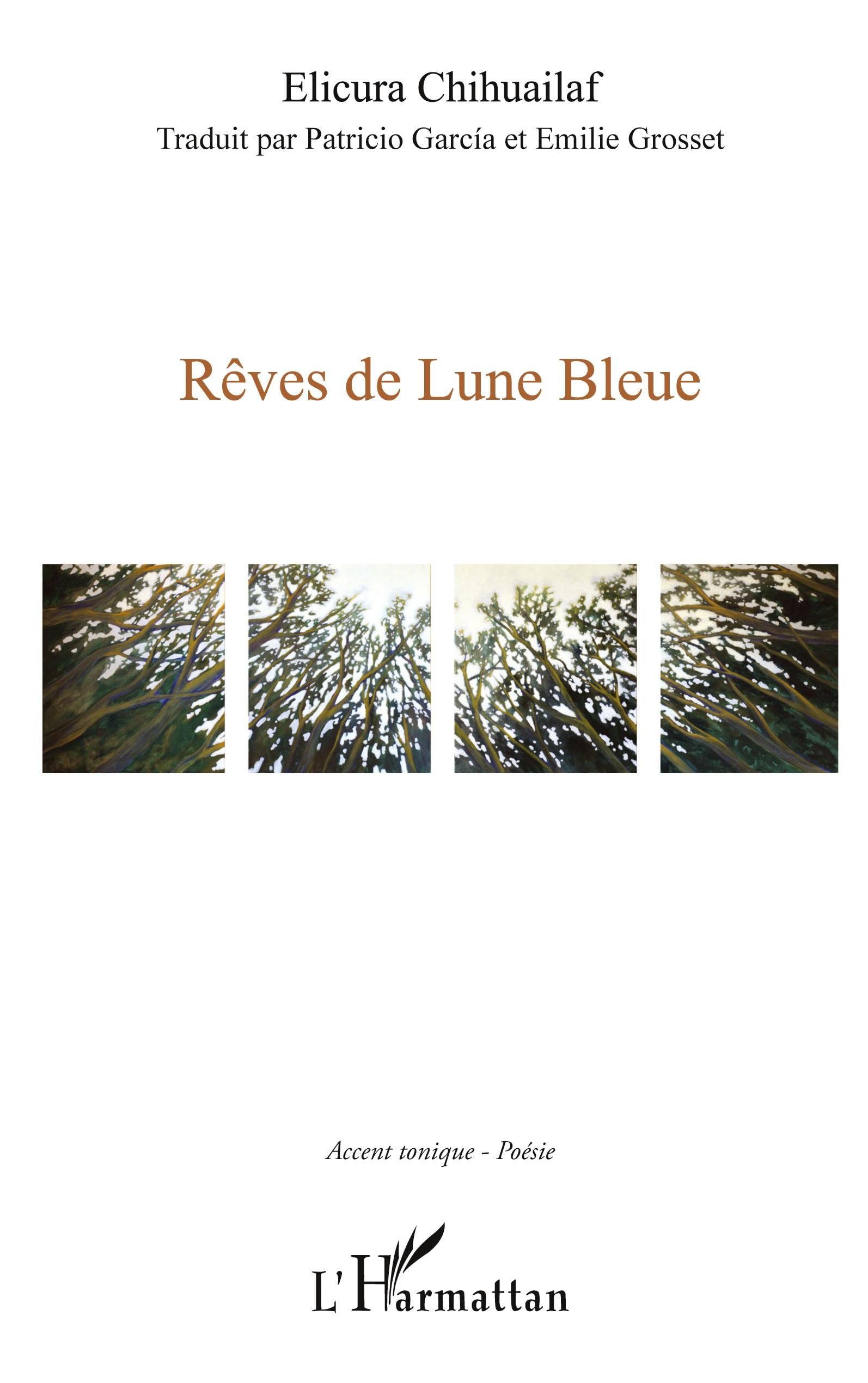 Rêves de lune bleue book