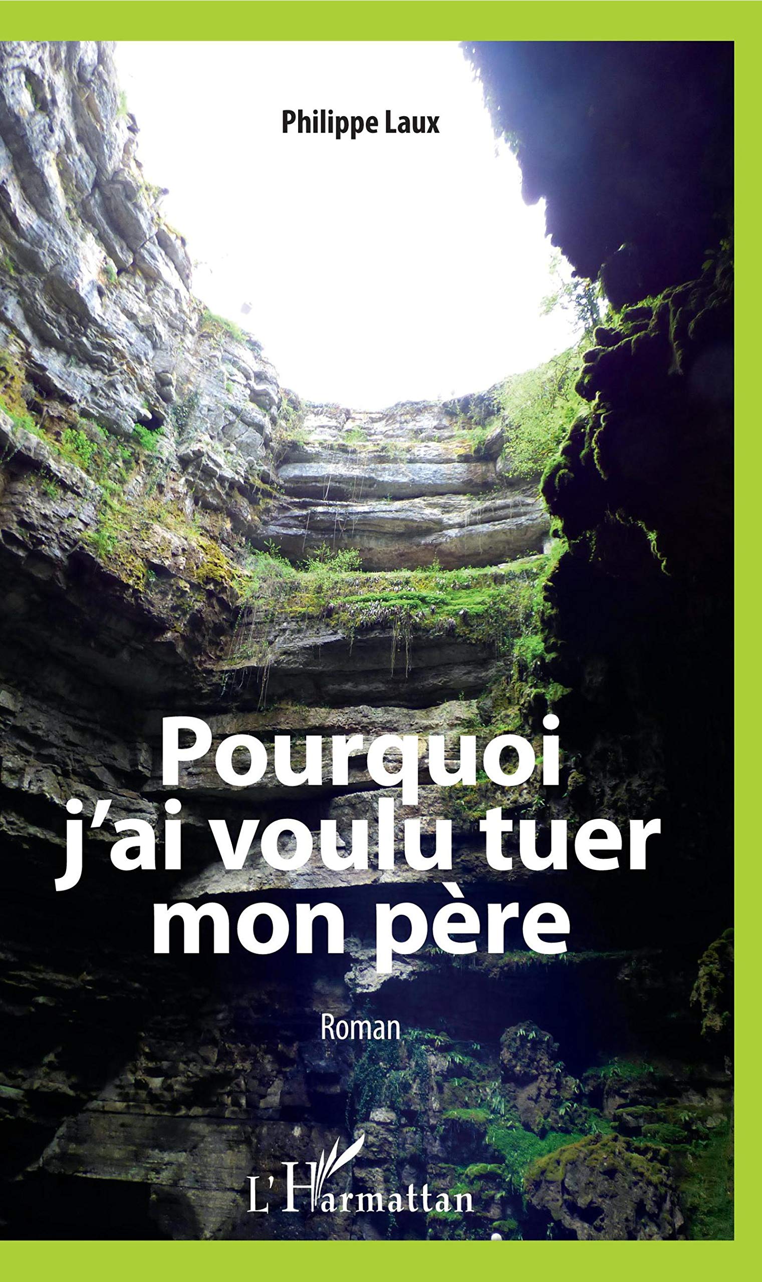 Pourquoi j'ai voulu tuer mon père: Roman book