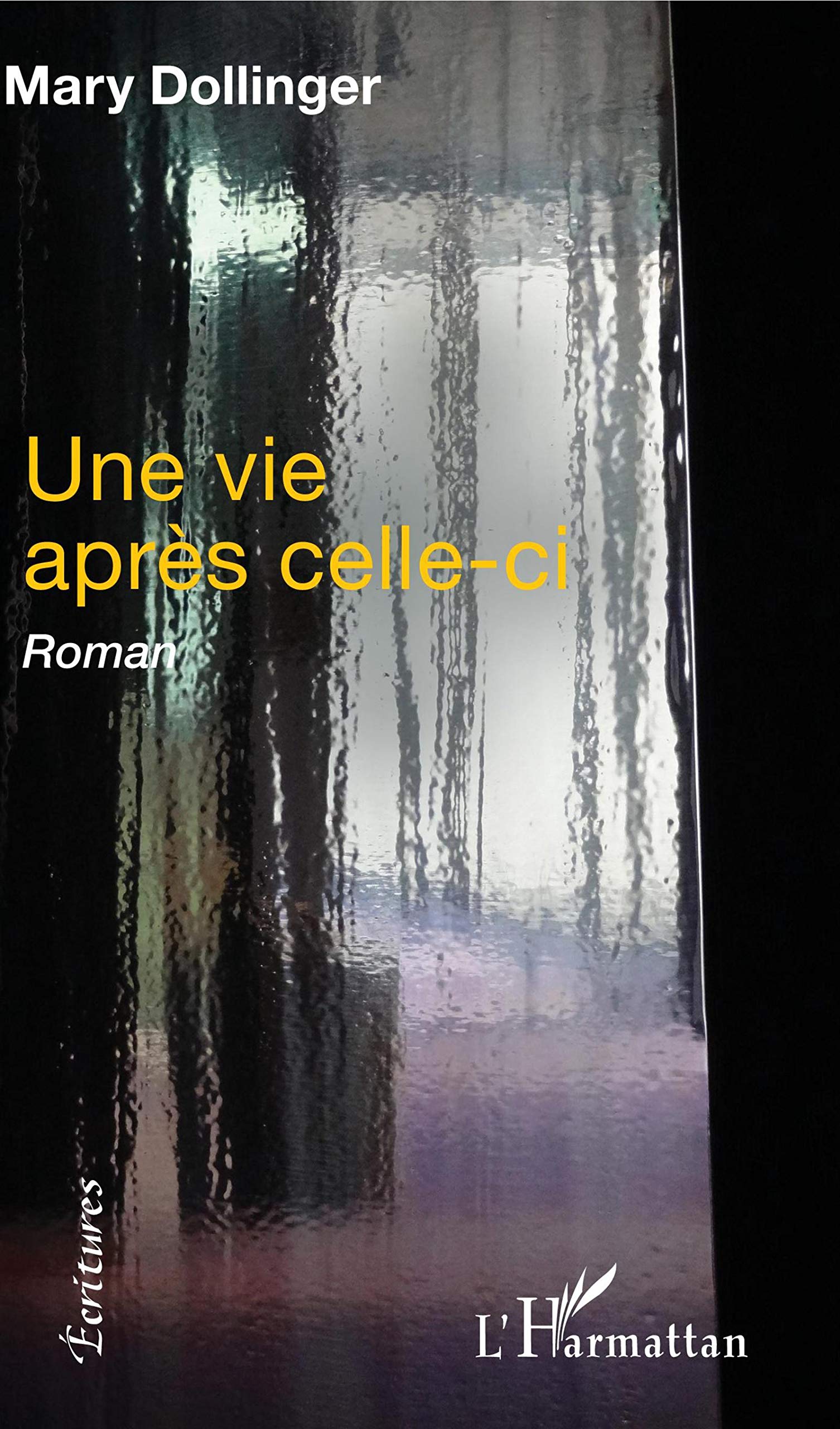 Une vie après celle-ci: Roman book