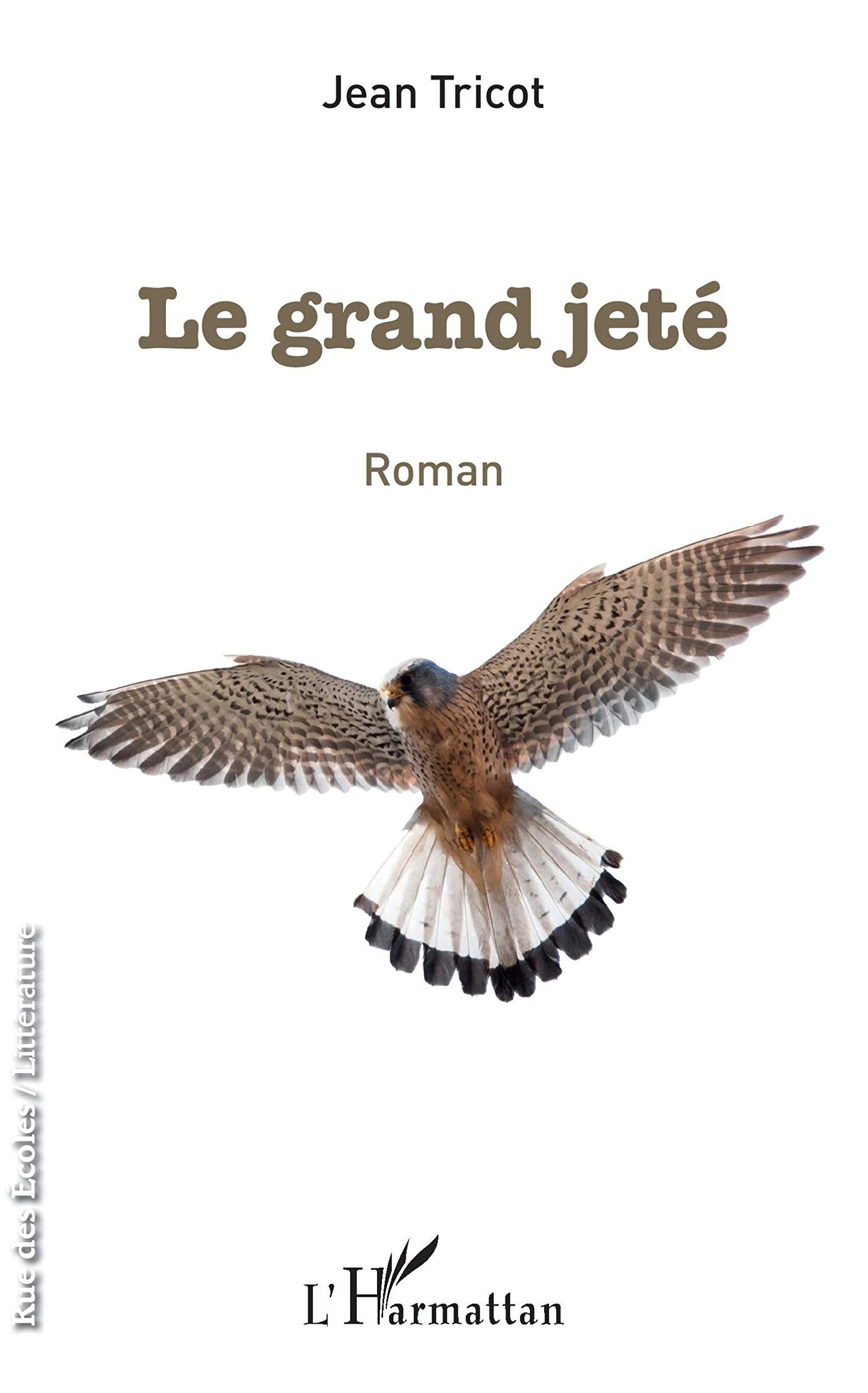 Le grand jeté: Roman book
