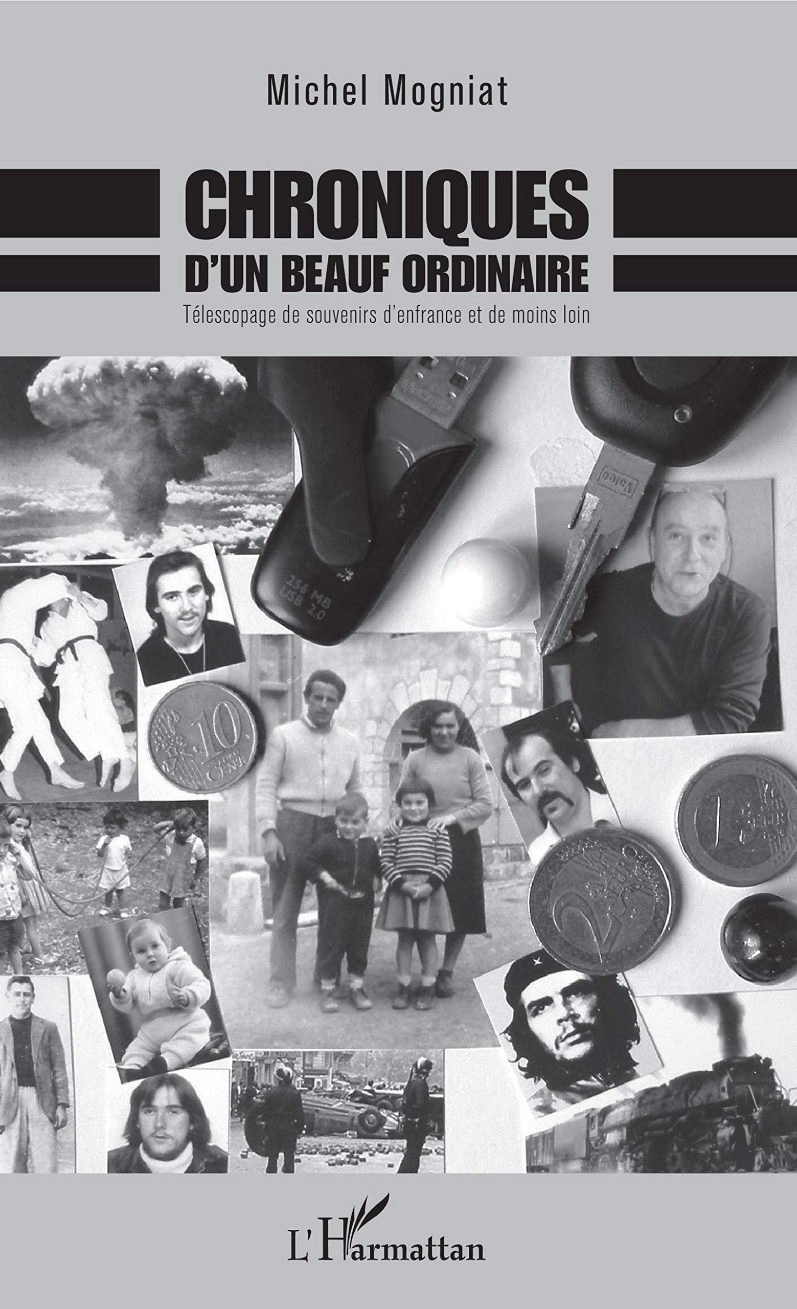 Chroniques d'un beauf ordinaire: Télescopage de souvenirs d'enfrance et de moins loin book