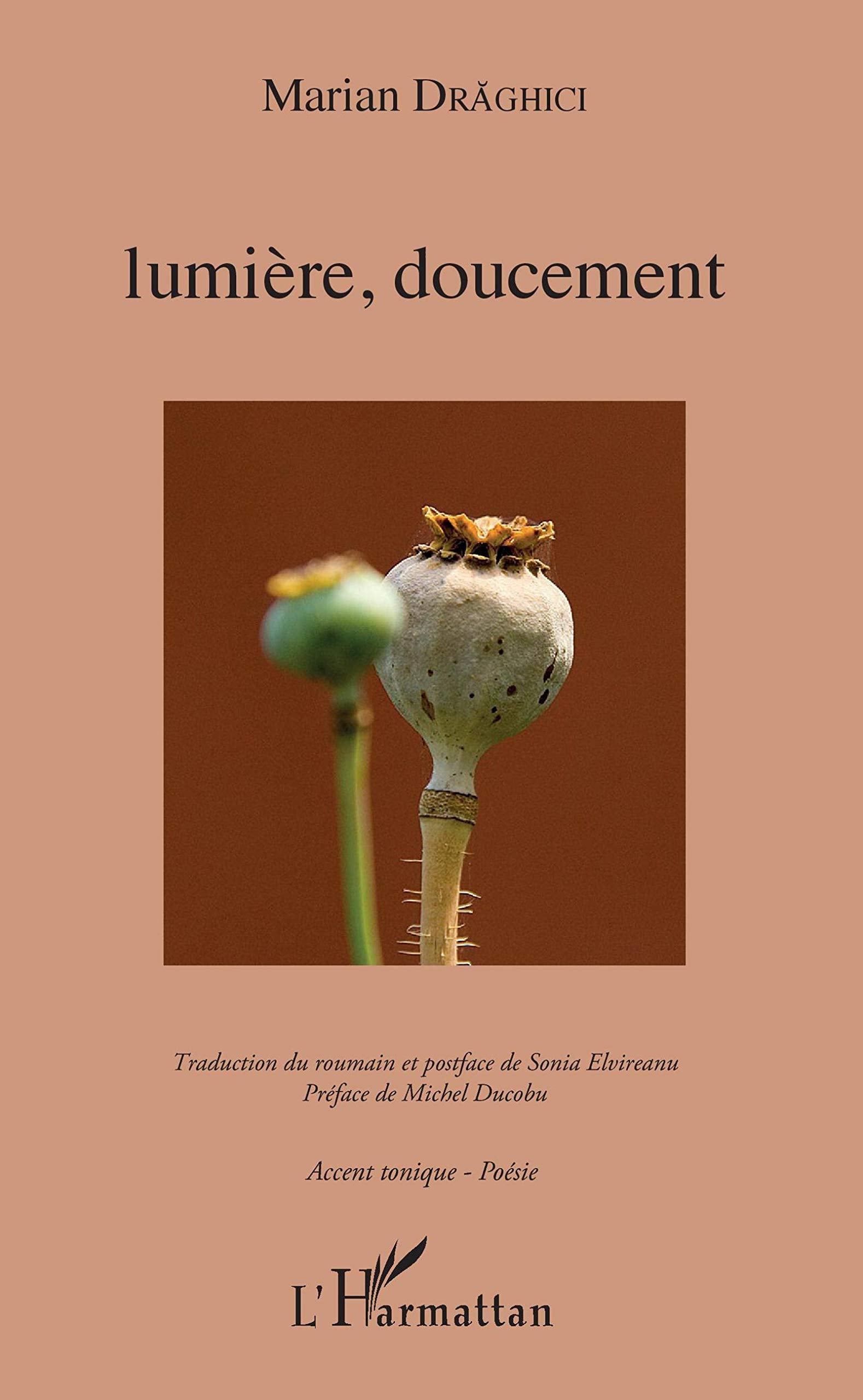 Lumière, doucement: traduction roumain et postface de Sonia Elvireanu Préface de Michel Ducobu book