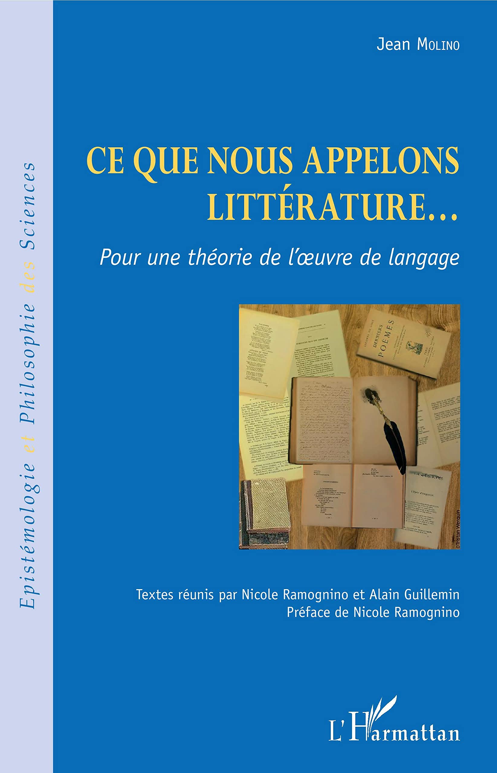 Ce que nous appelons littérature...: Pour une théorie de l'oeuvre de langage book
