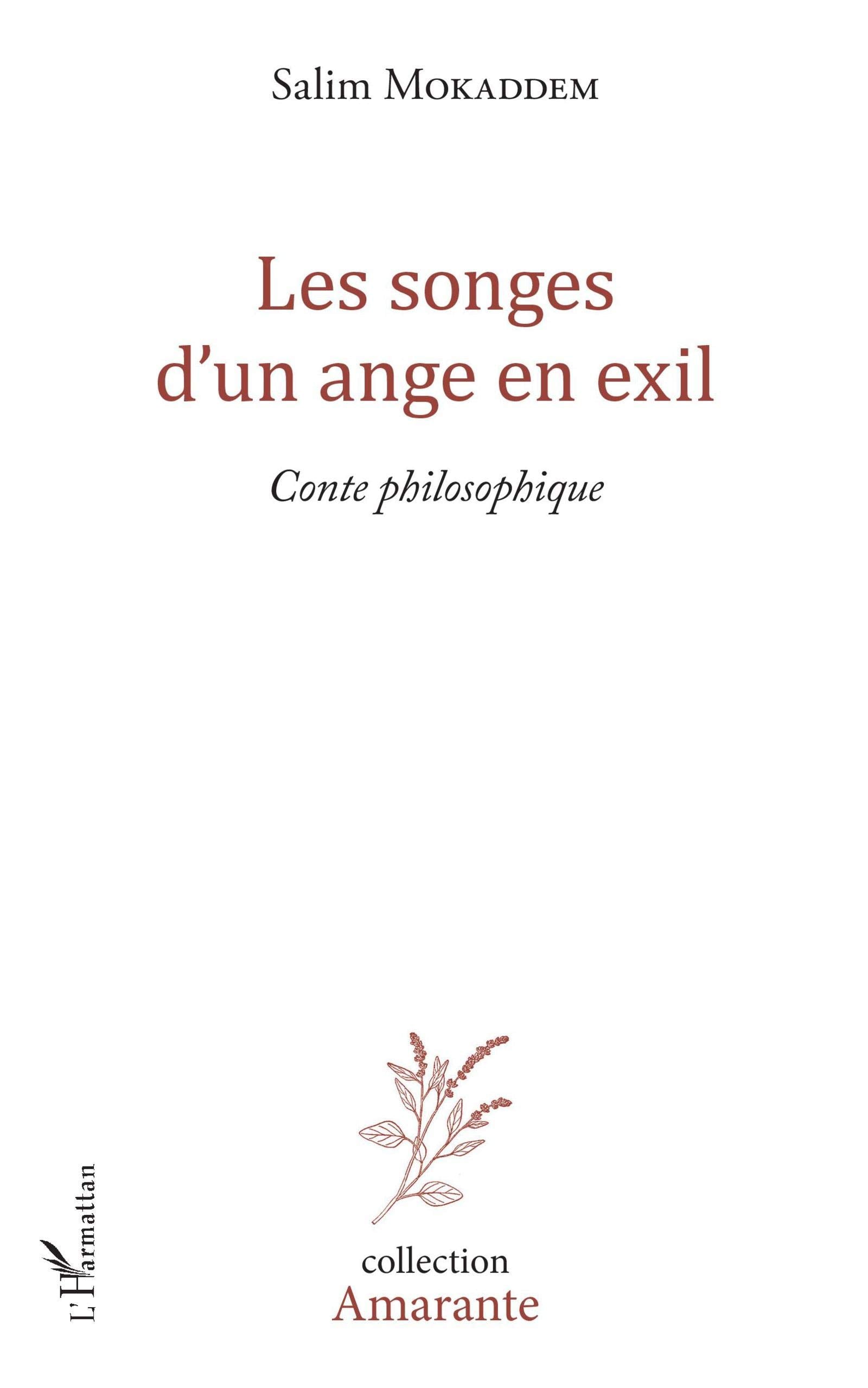 Les songes d'un ange en exil: Conte philosophique book