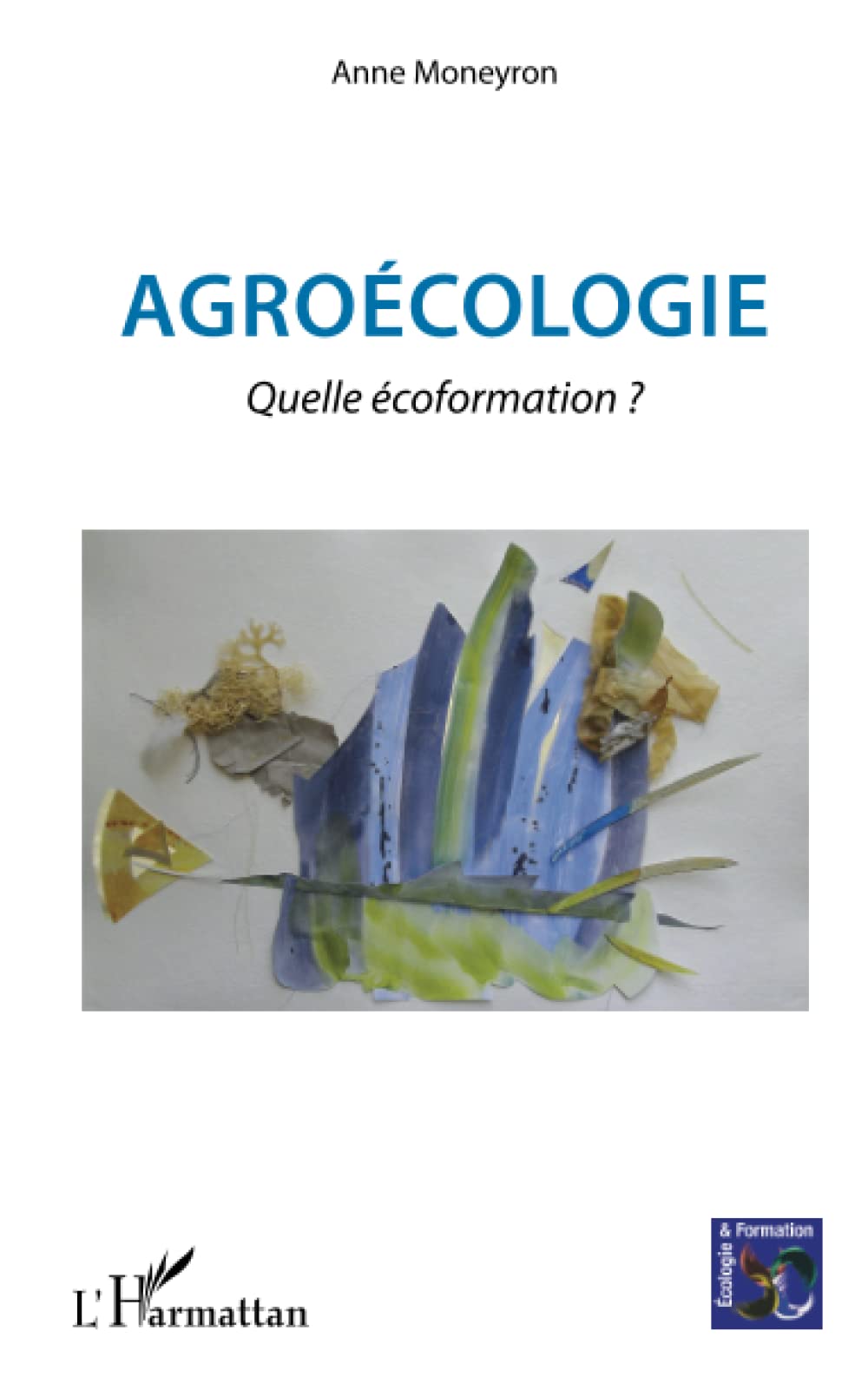 Agroécologie: Quelle écoformation ? book