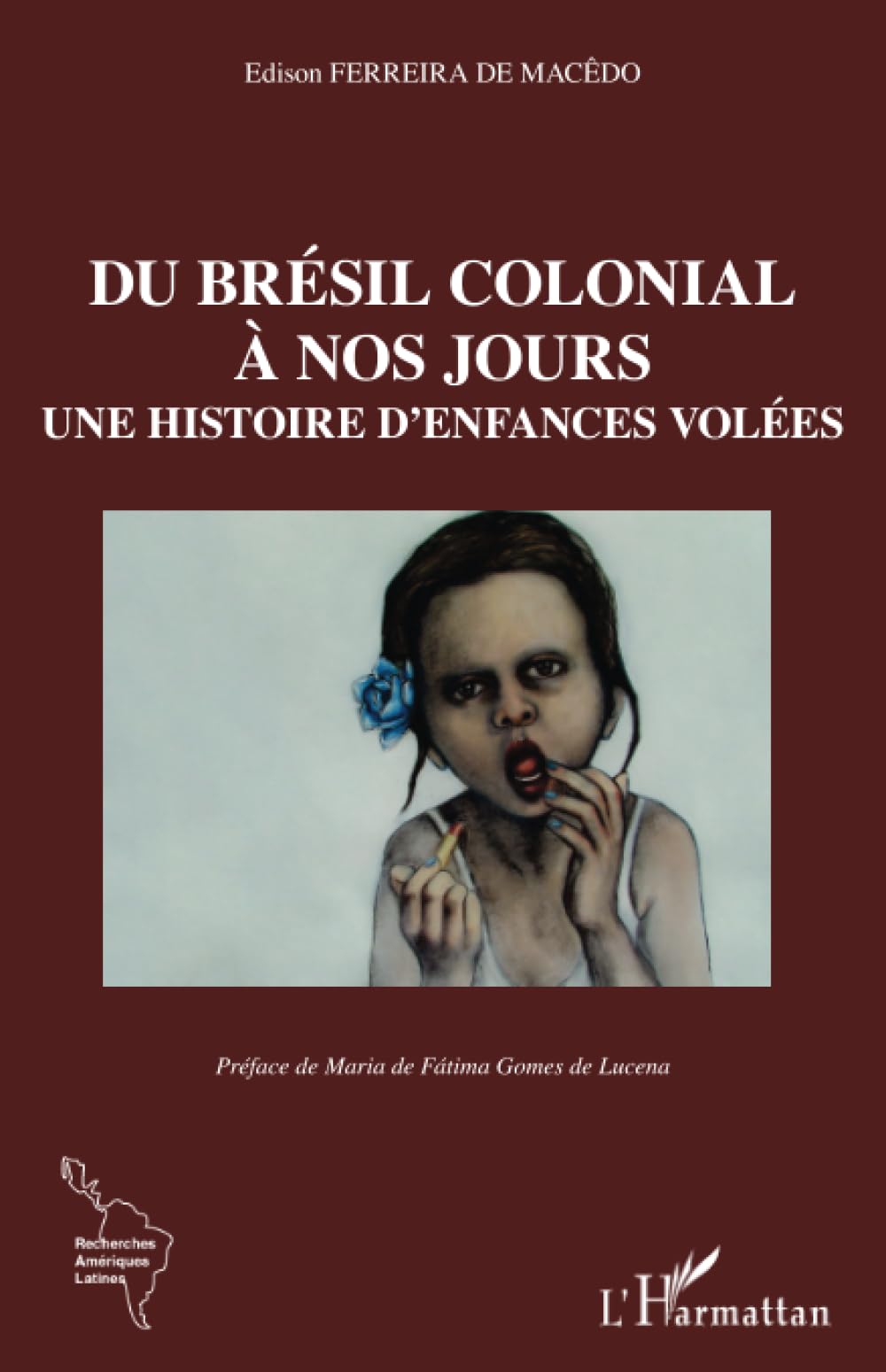 Du Brésil colonial à nos jours: Une histoire d'enfances volées book