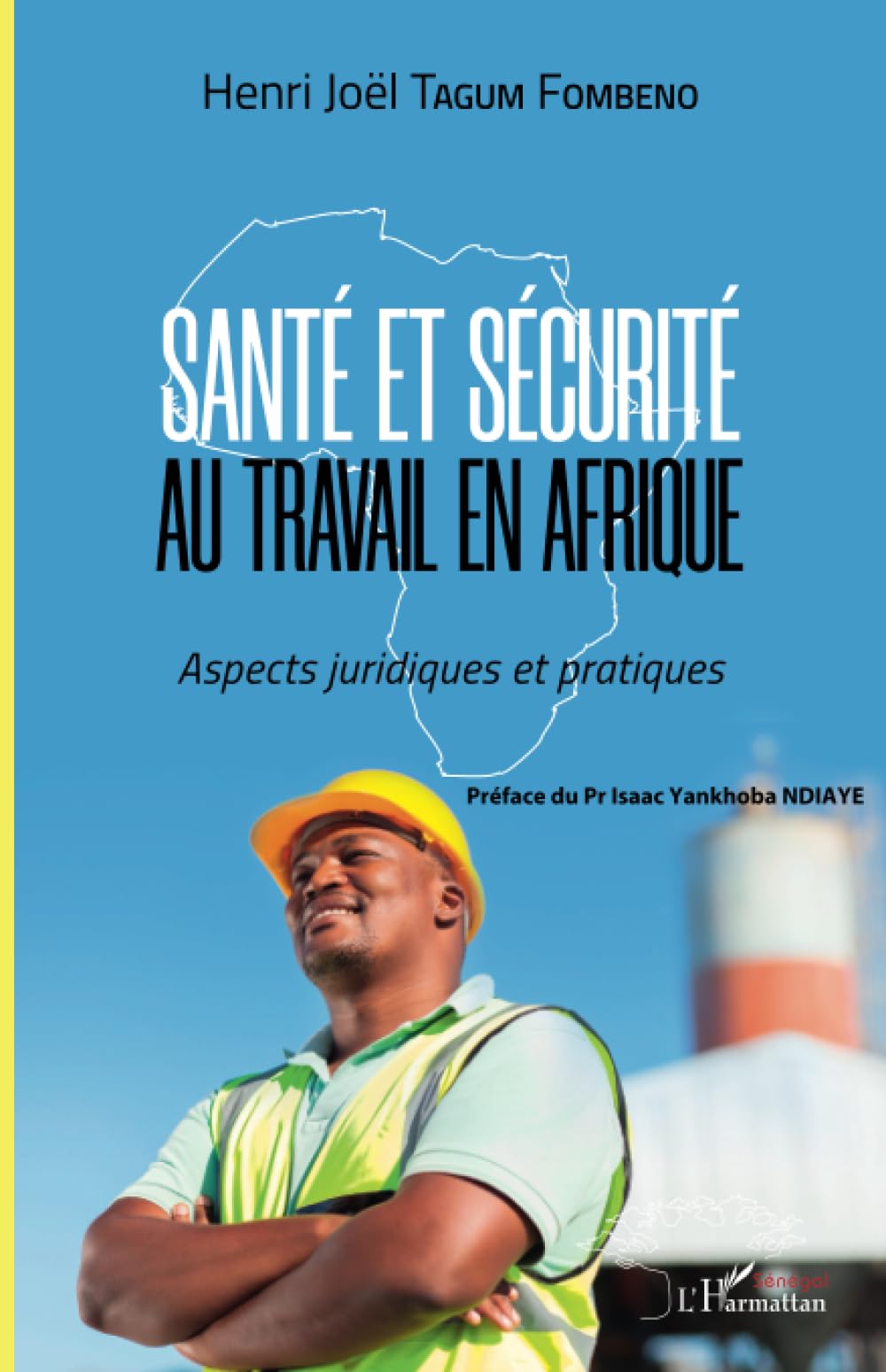 Santé et sécurité au travail en Afrique: Aspects juridiques et pratiques book