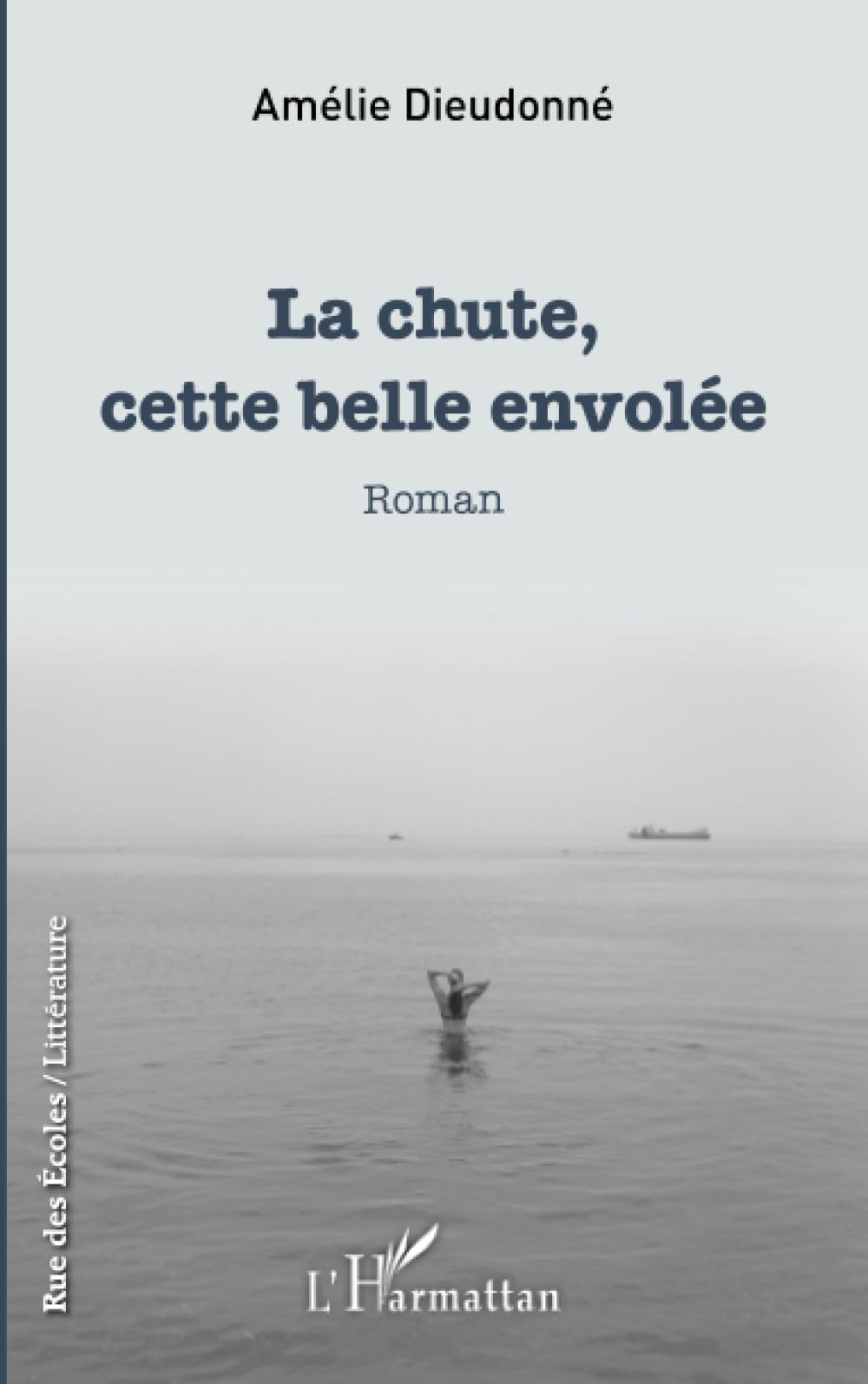 La chute, cette belle envolée: Roman book