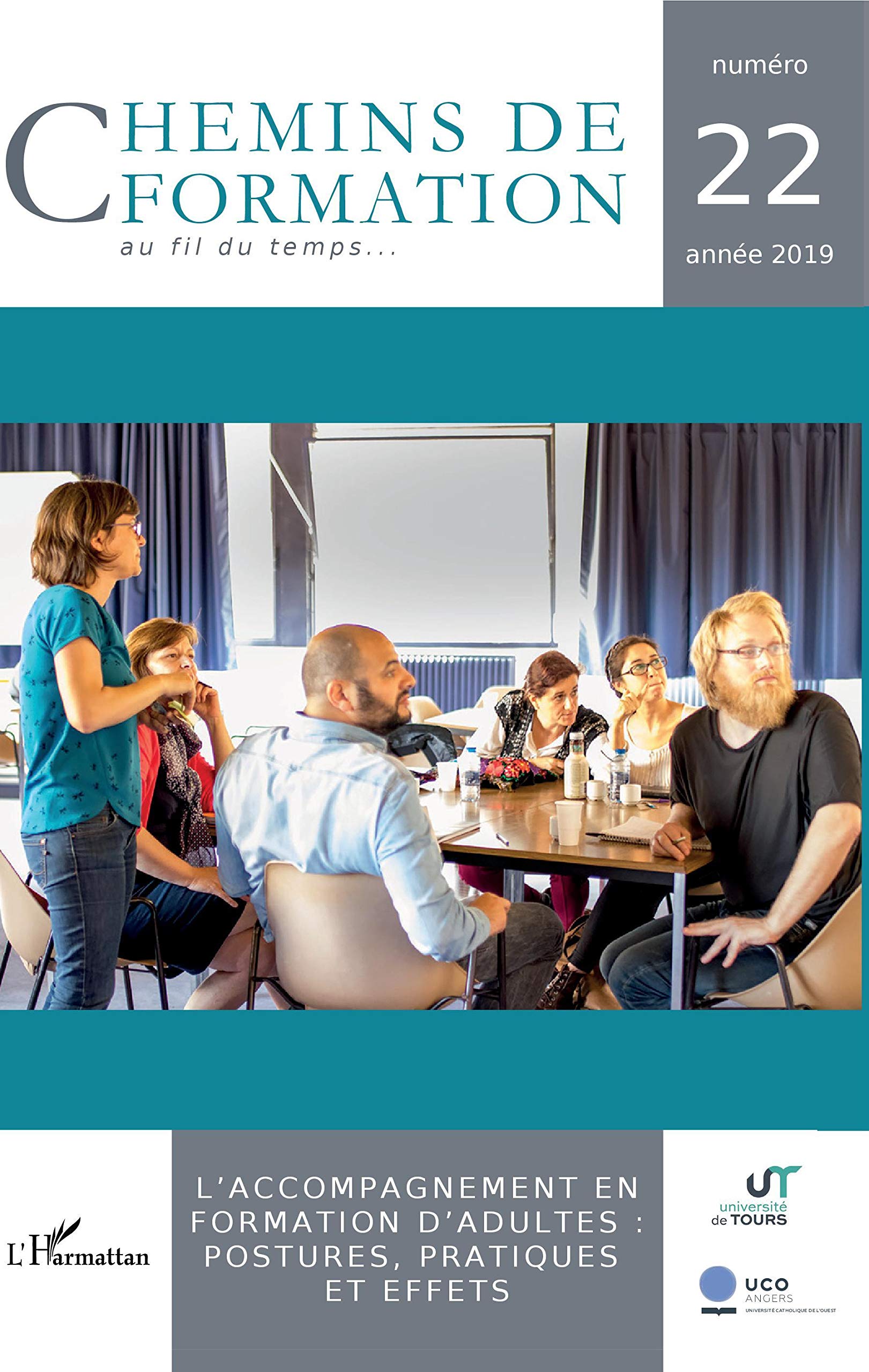 L'accompagnement en formation d'adultes : postures, pratiques et effets book