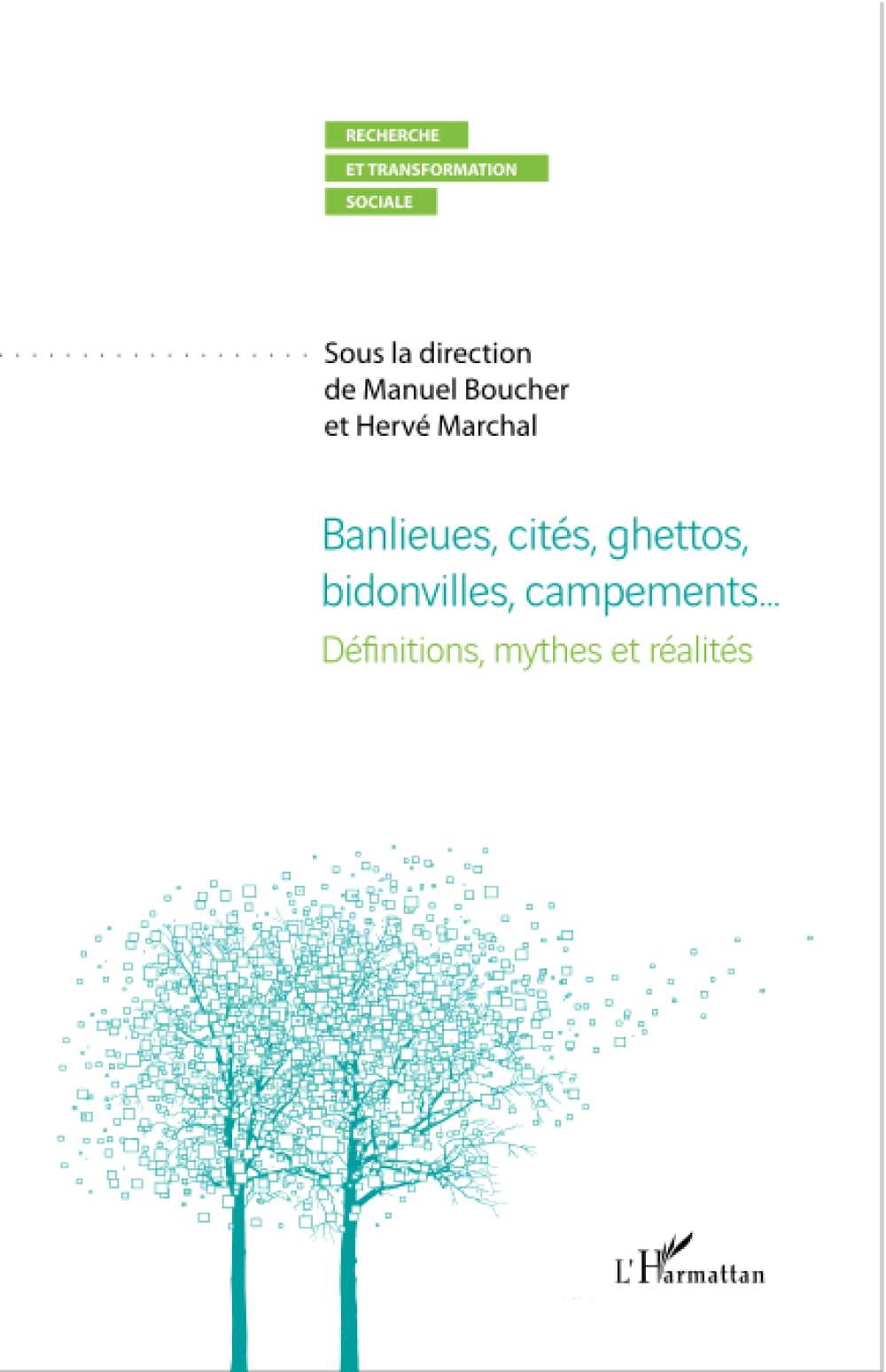 Banlieues, cités ghéttos, bidonvilles, campements...: Définitions, mythes et réalités book