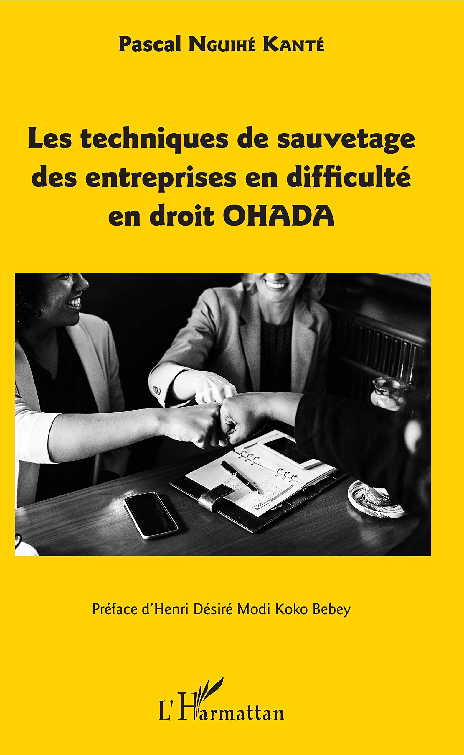 Les techniques de sauvetage des entreprises en difficulté en droit OHADA book