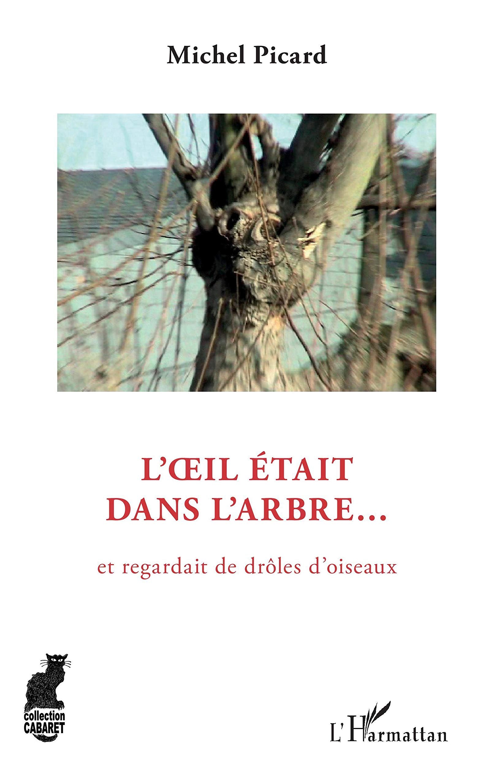 L'oeil était dans l'arbre: Et regardait de drôles d'oiseaux Contemporary literature