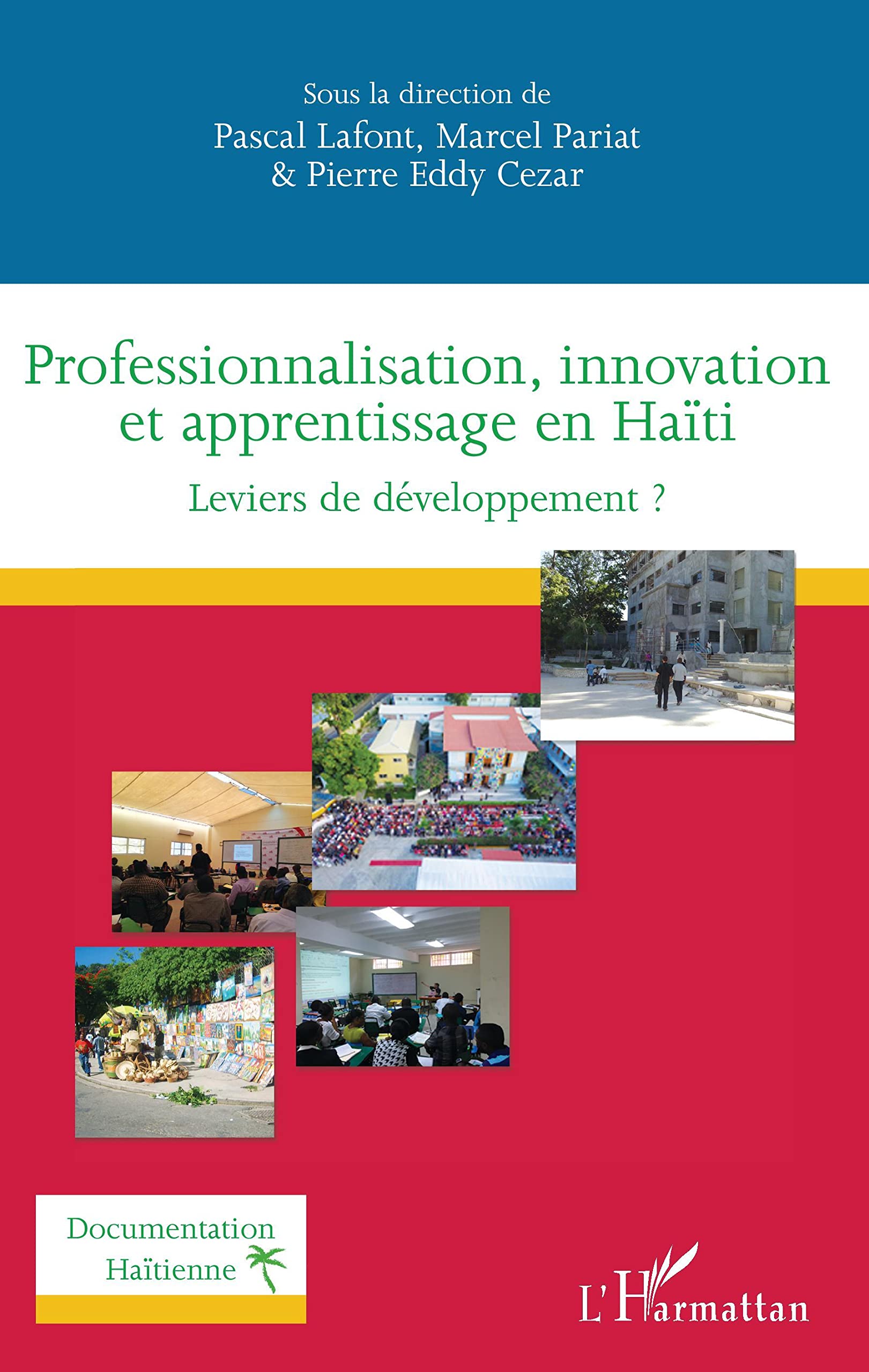 Professionnalisation, innovation et apprentissage en Haïti: Leviers de développement ? book