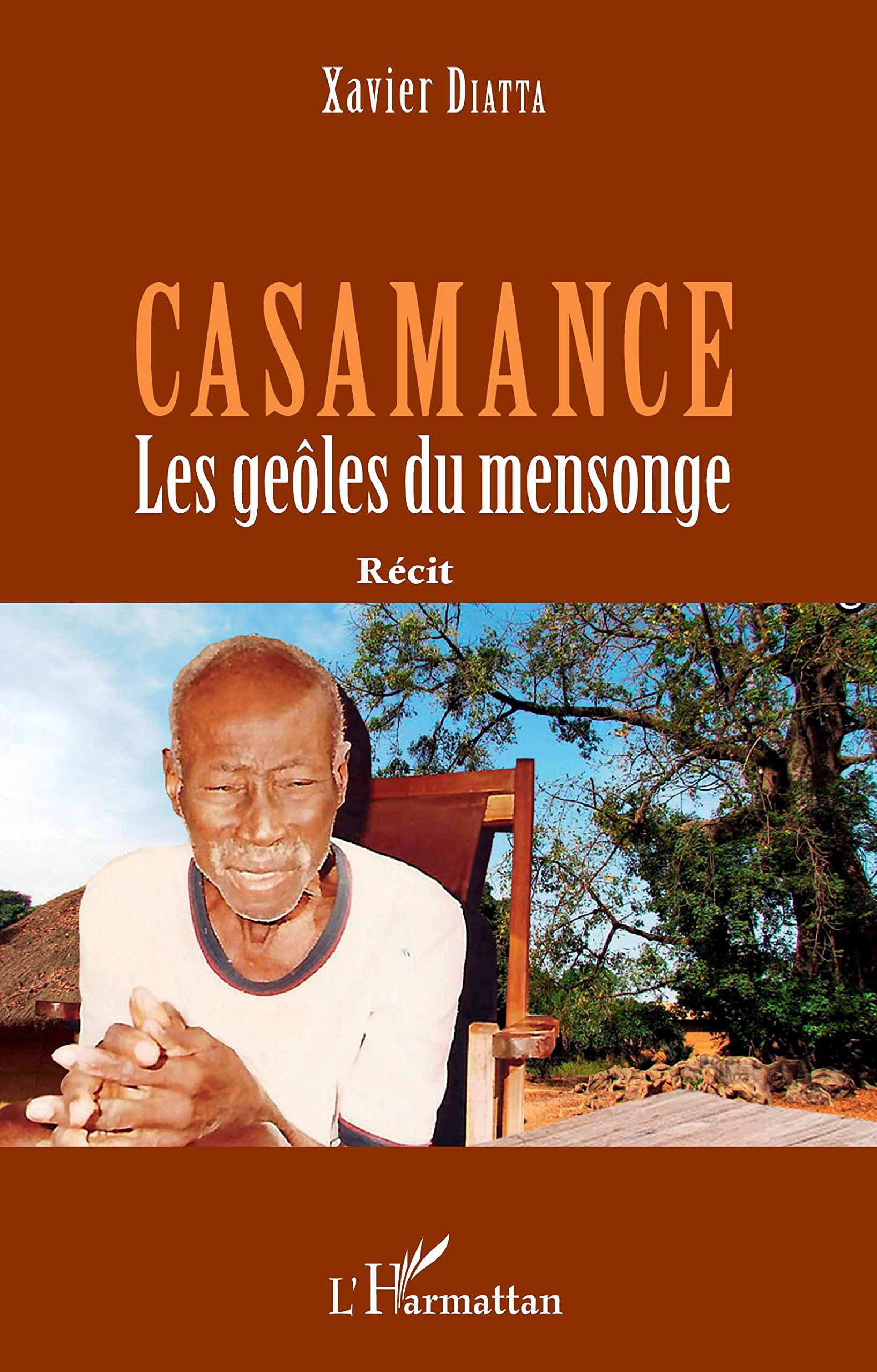 Casamance: Les geôles du mensonge book