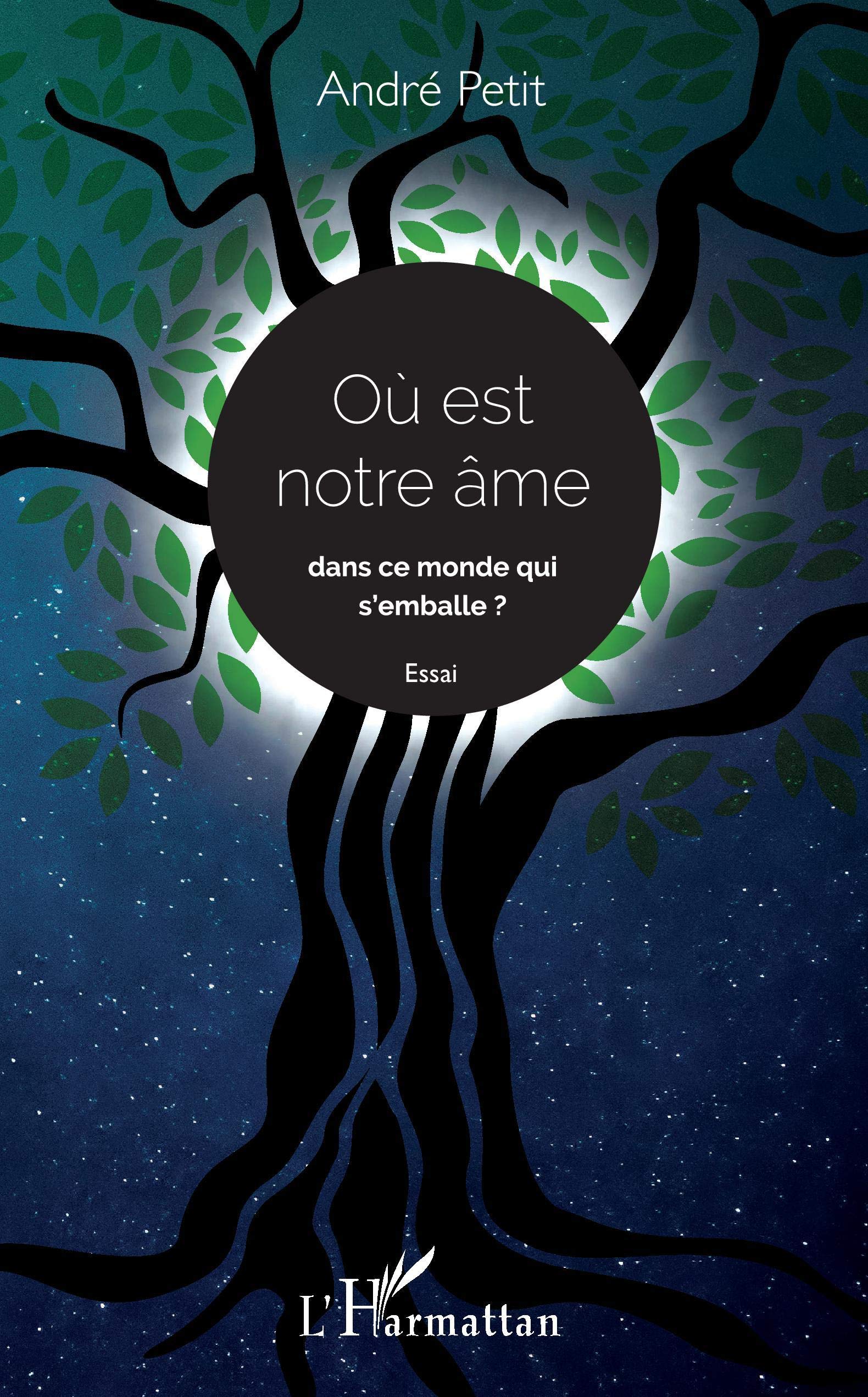 Où est notre âme dans ce monde qui s'emballe ? Essai book