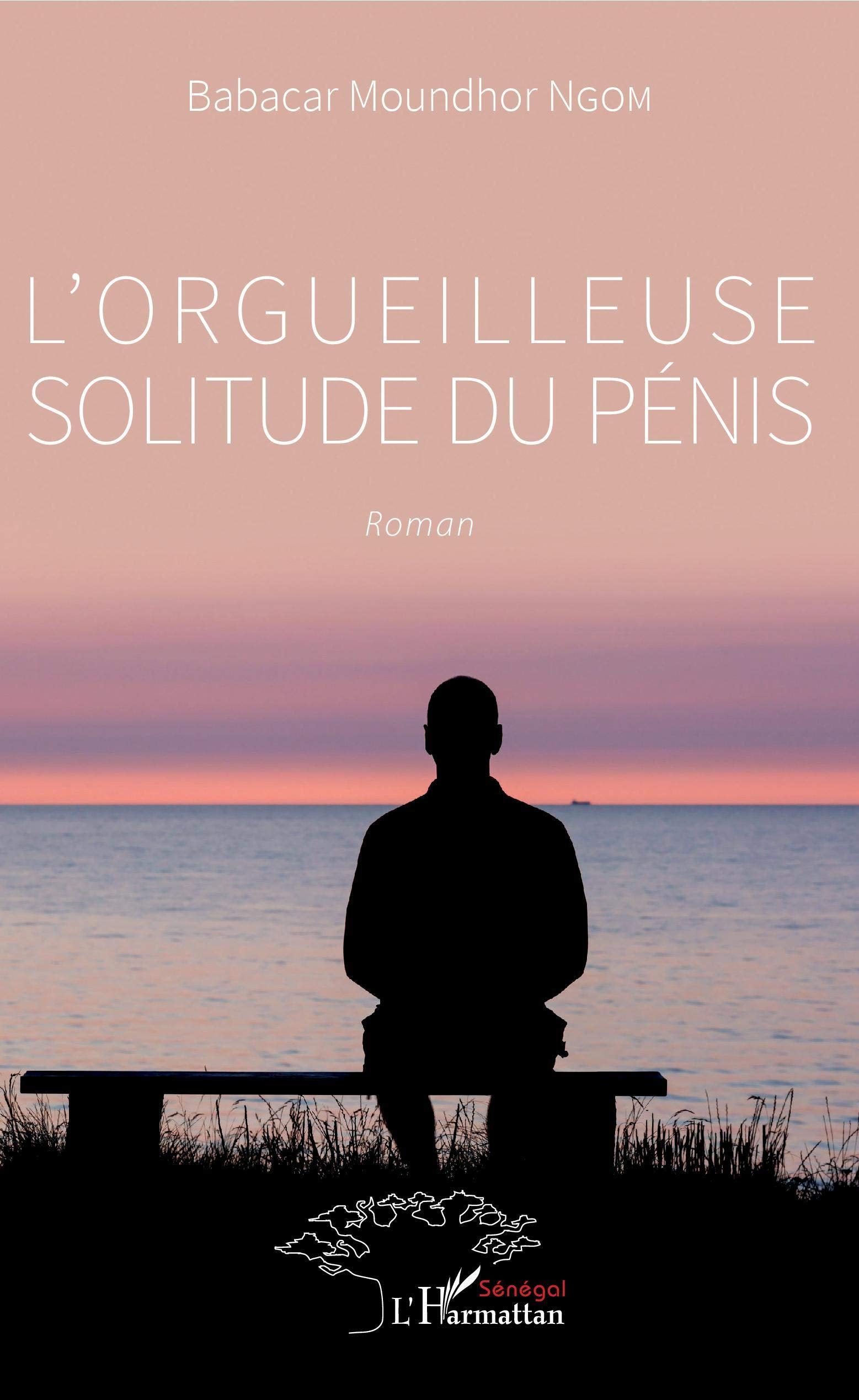 L'orgueilleuse solitude du pénis: Roman book