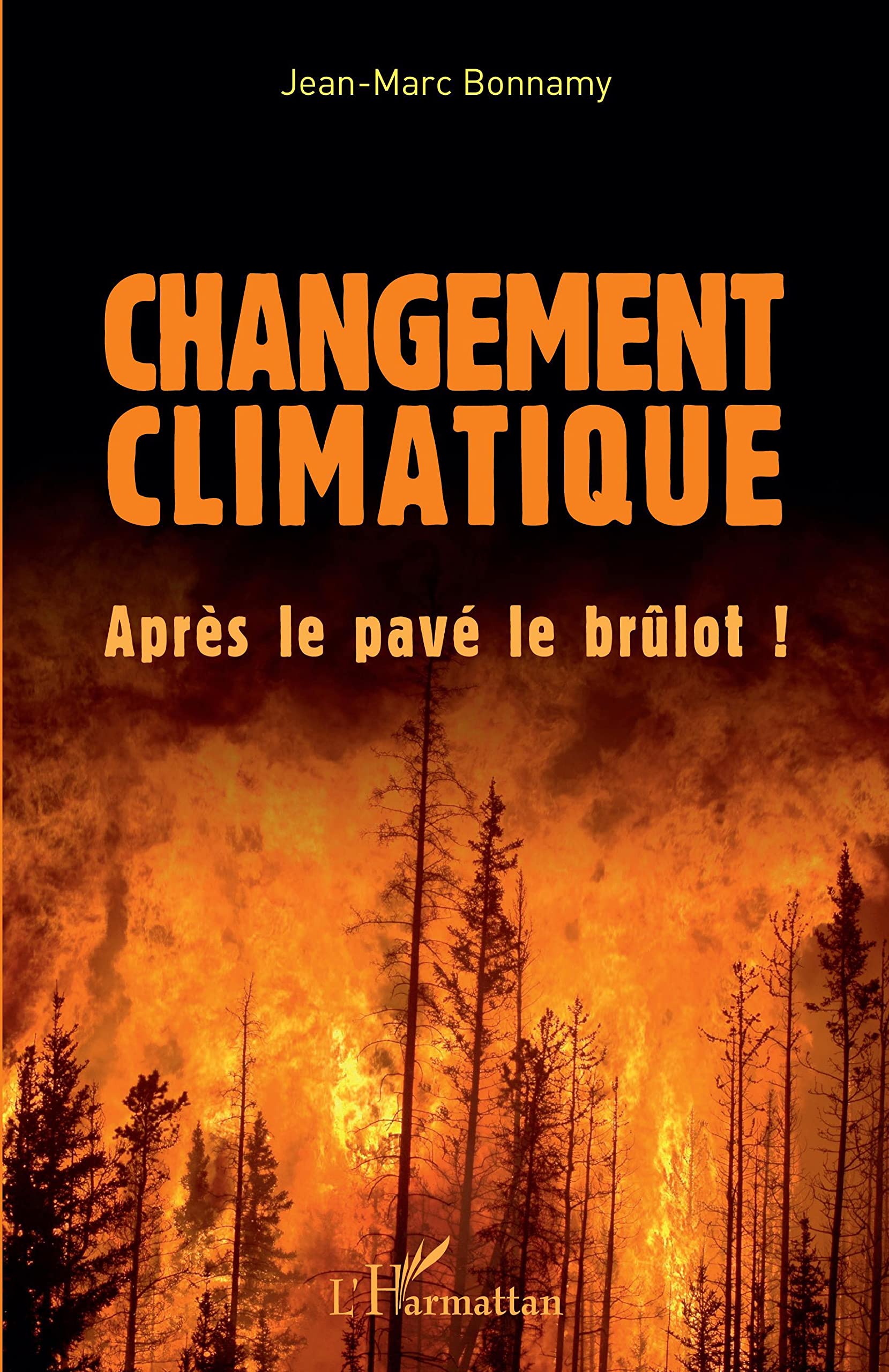 Changement climatique: Après le pavé le brûlot ! book