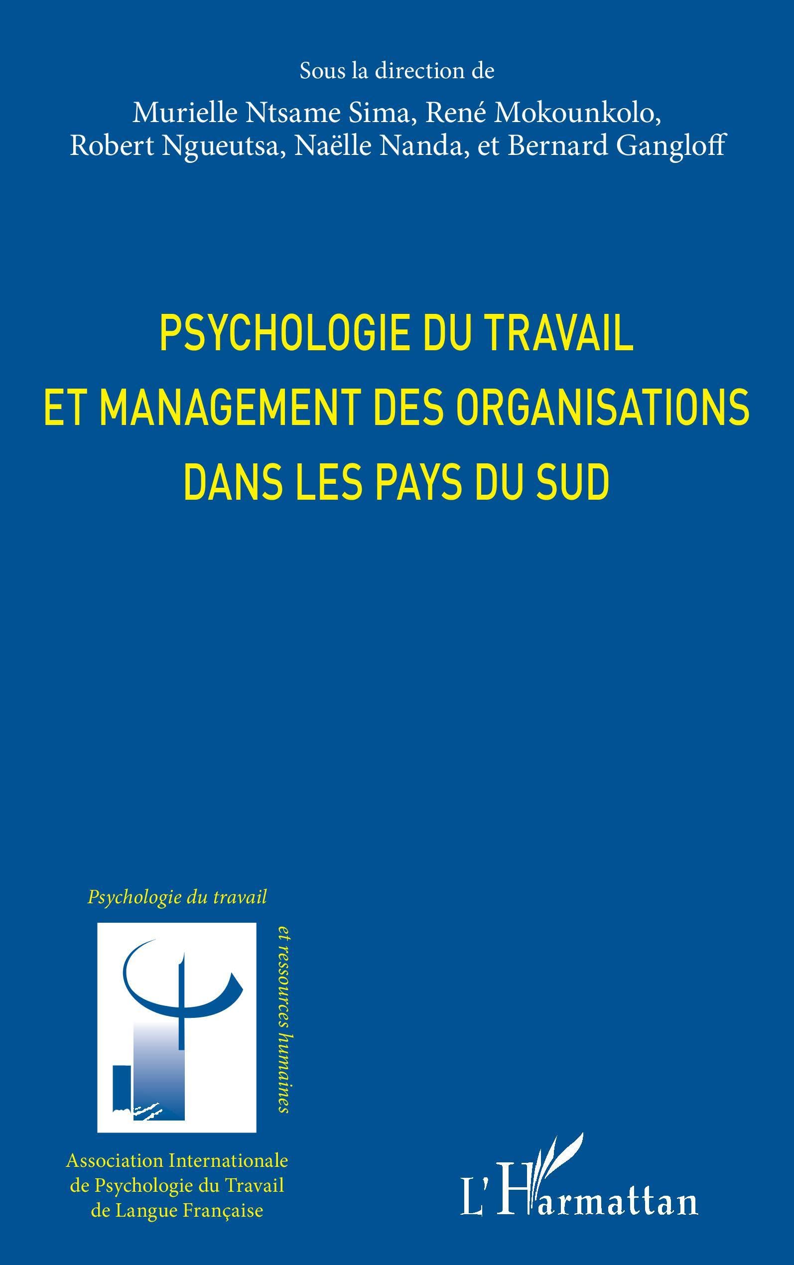 Psychologie du travail et management des organisations dans les pays du sud book