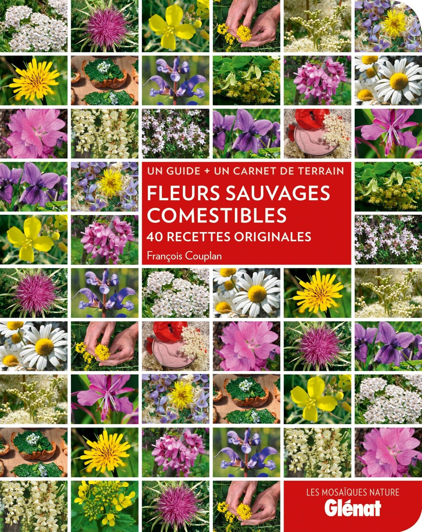Fleurs sauvages comestibles: 40 recettes originales Film, Art & Culture