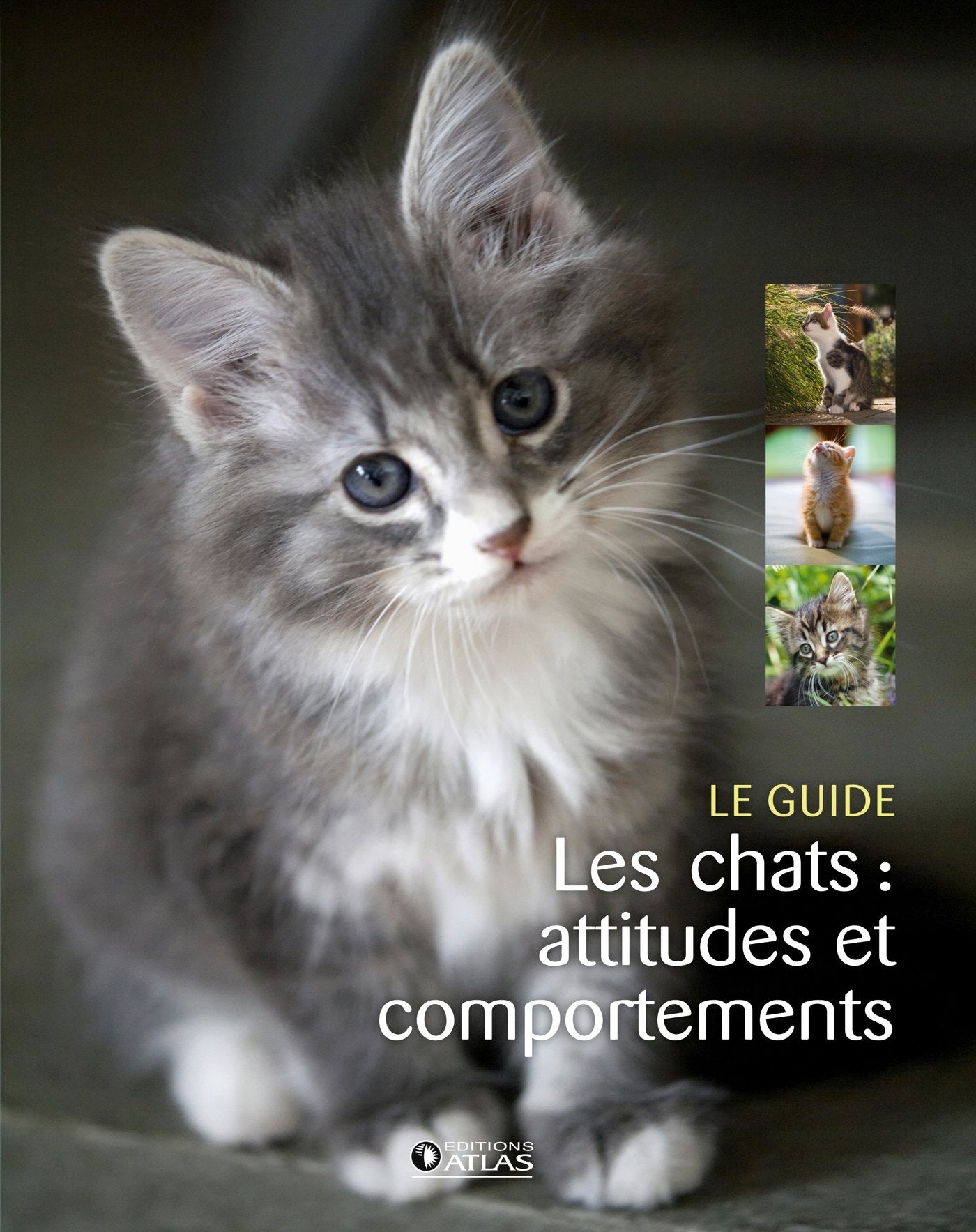 Les chats : attitudes et comportements Leisure, Home & Garden