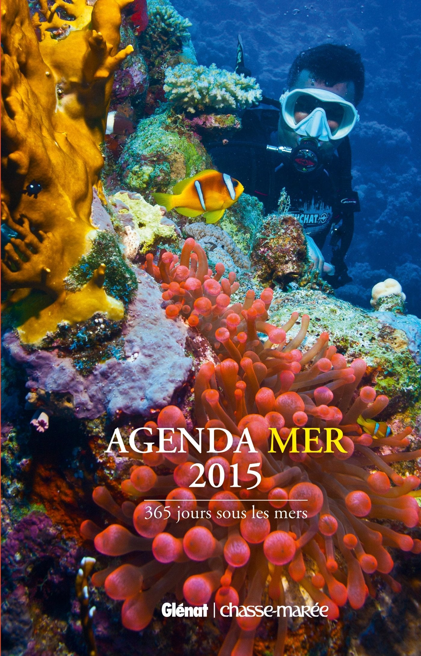 Agenda Mer 2015: 365 jours sous les mers book