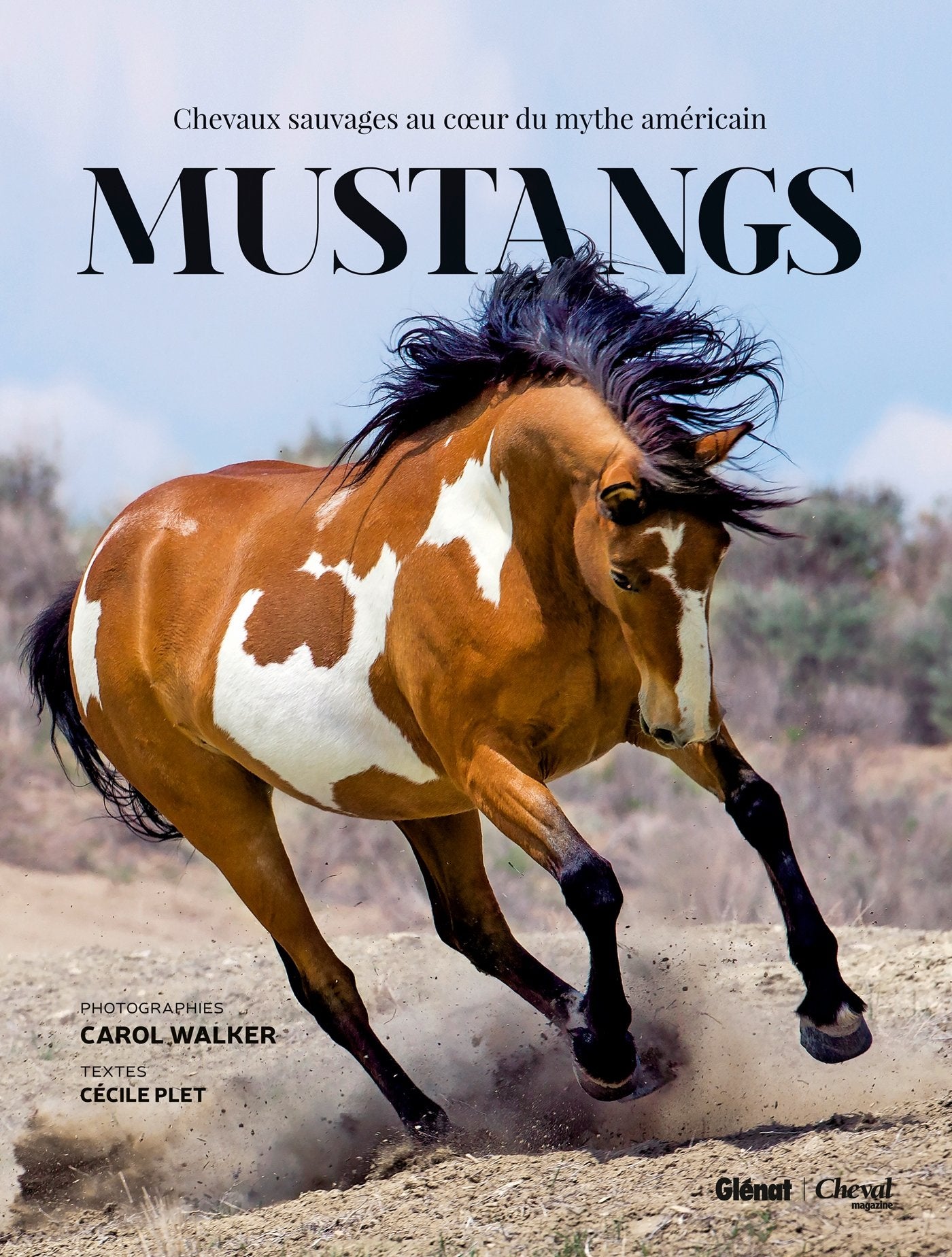 Mustangs: Chevaux sauvages au coeur du mythe américain Film, Art & Culture