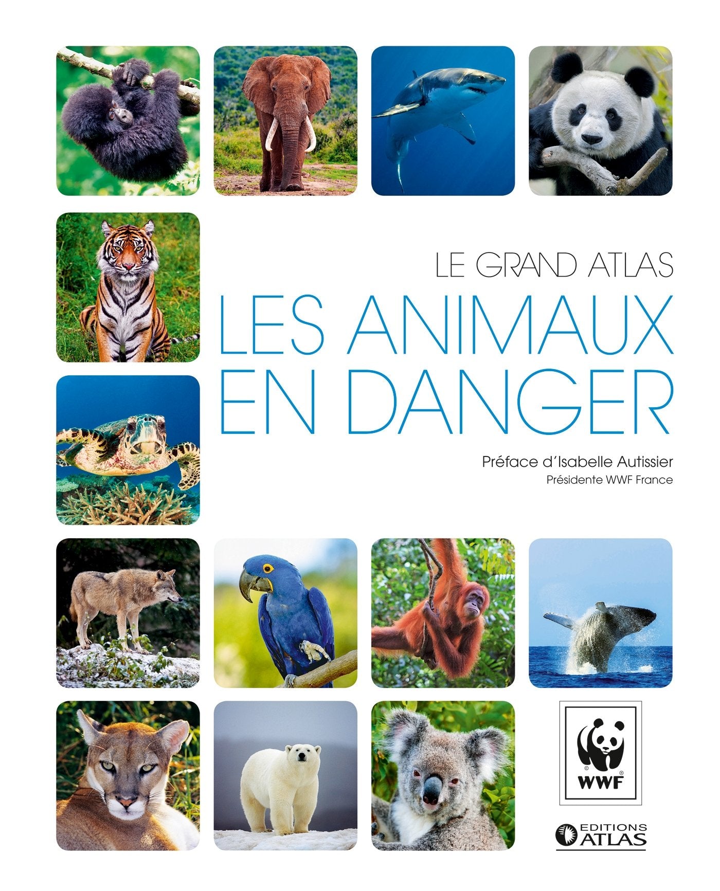 Le grand atlas Les animaux en danger Film, Art & Culture