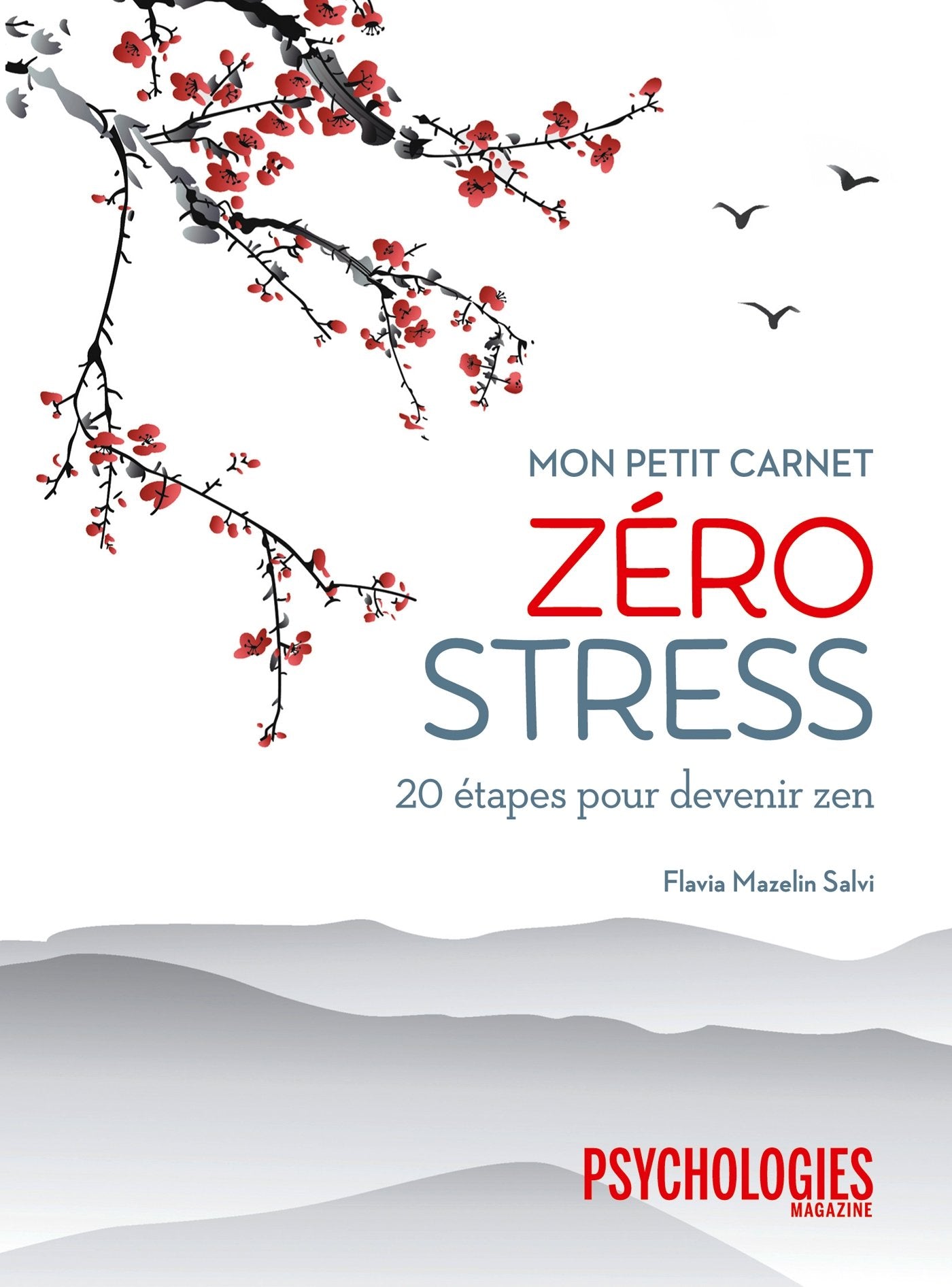 Mon petit carnet zéro stress: 20 étapes pour devenir zen Home & Household