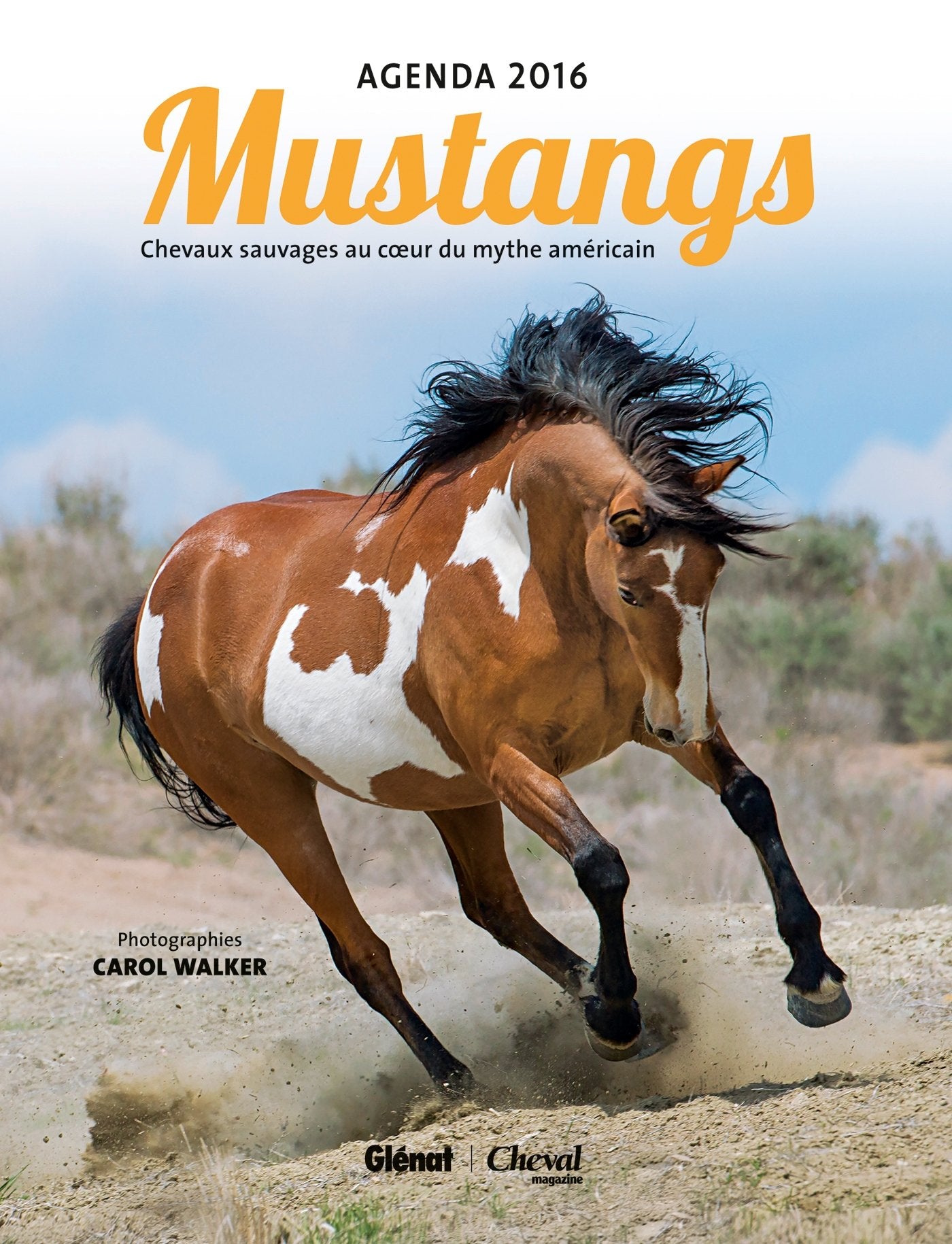 Agenda Mustangs 2016: Chevaux sauvages au coeur du mythe américain, Agenda 2016 book