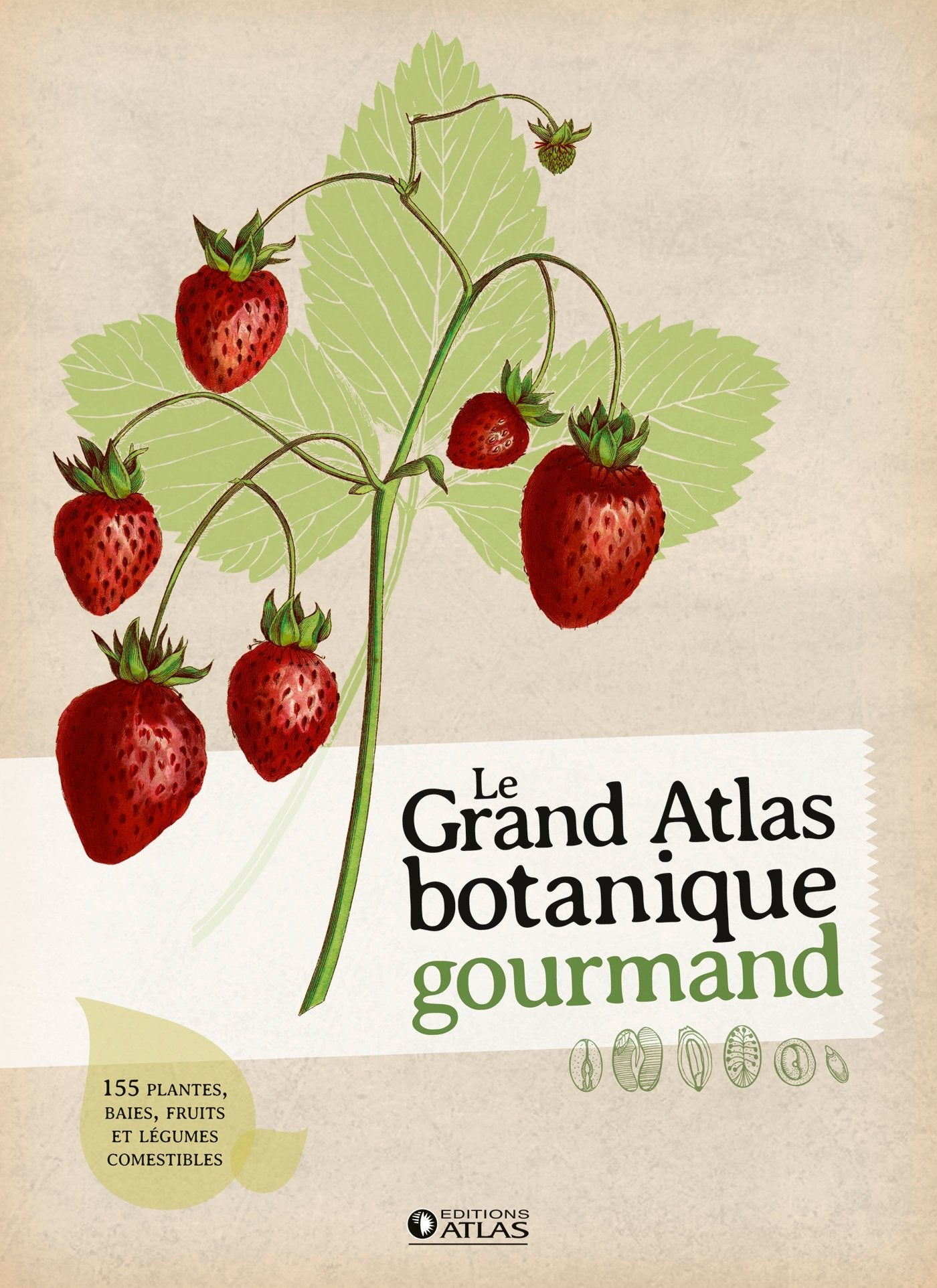 Le grand atlas botanique gourmand: 155 fruits, baies et plantes comestibles Film, Art & Culture