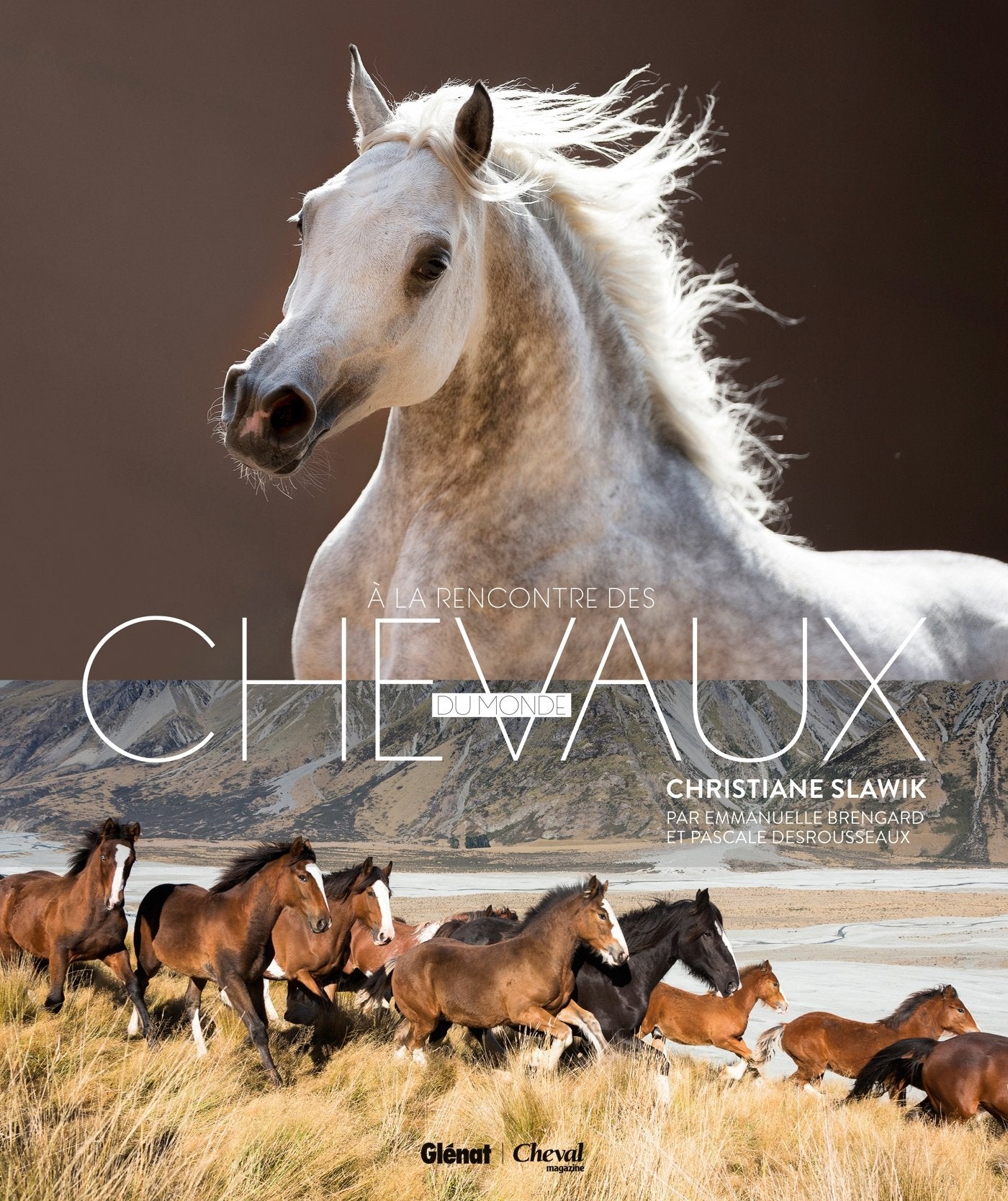 À la rencontre des chevaux du monde Film, Art & Culture