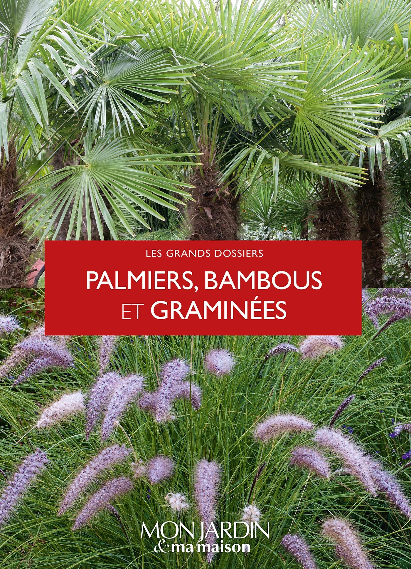 Palmiers, bambous et graminées Leisure, Home & Garden