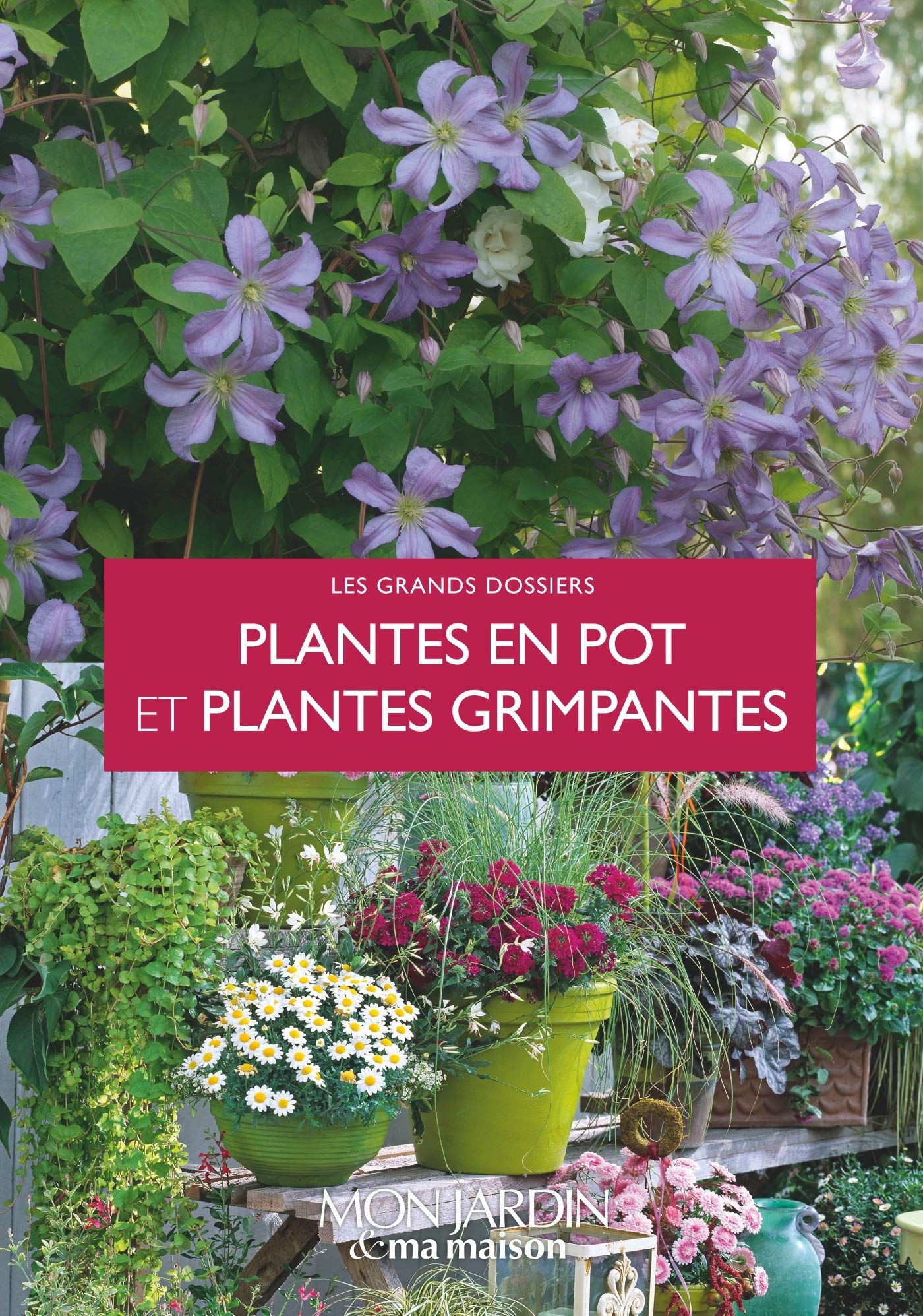 Plantes en pot et plantes grimpantes book