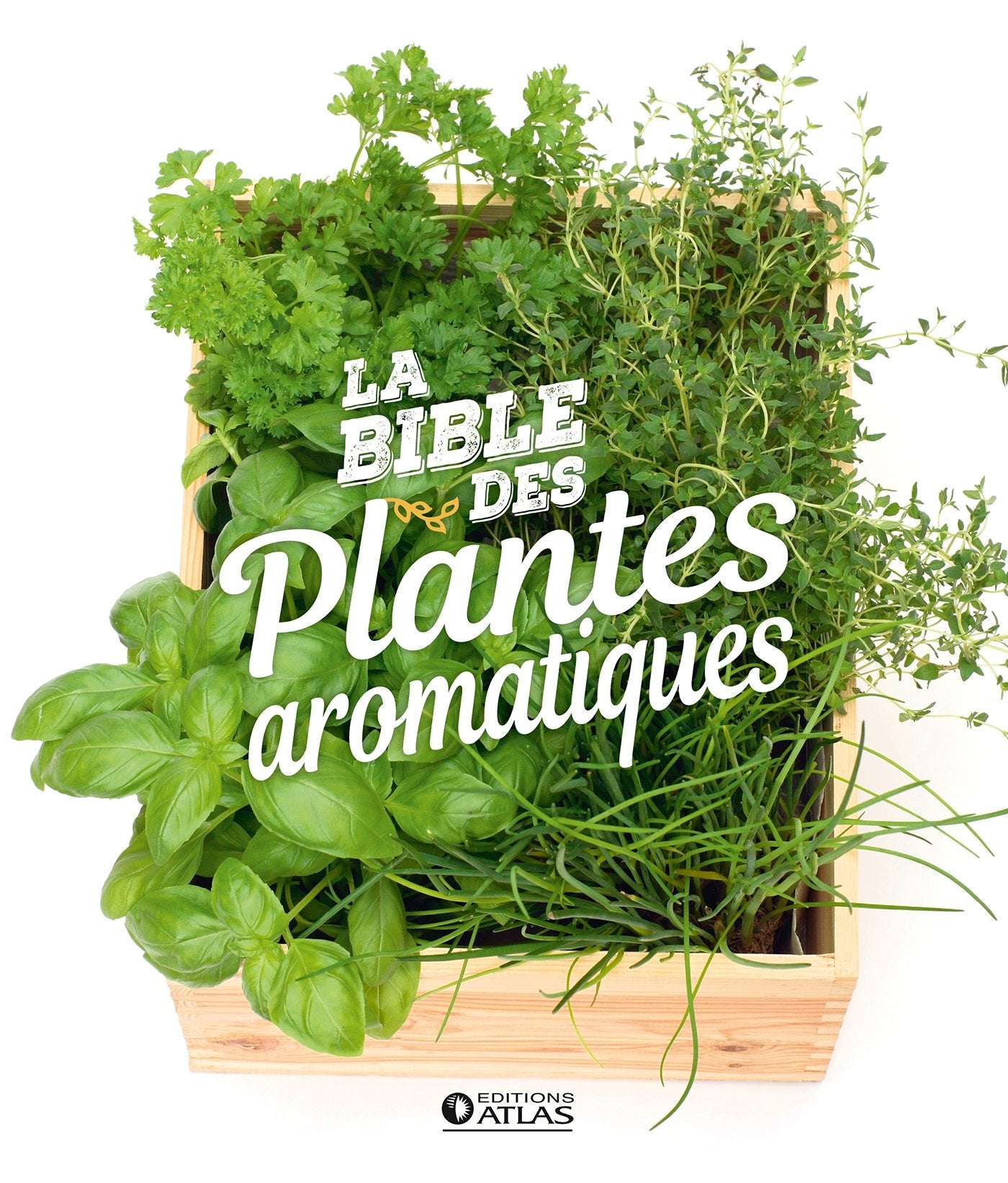 La bible des plantes aromatiques Leisure, Home & Garden