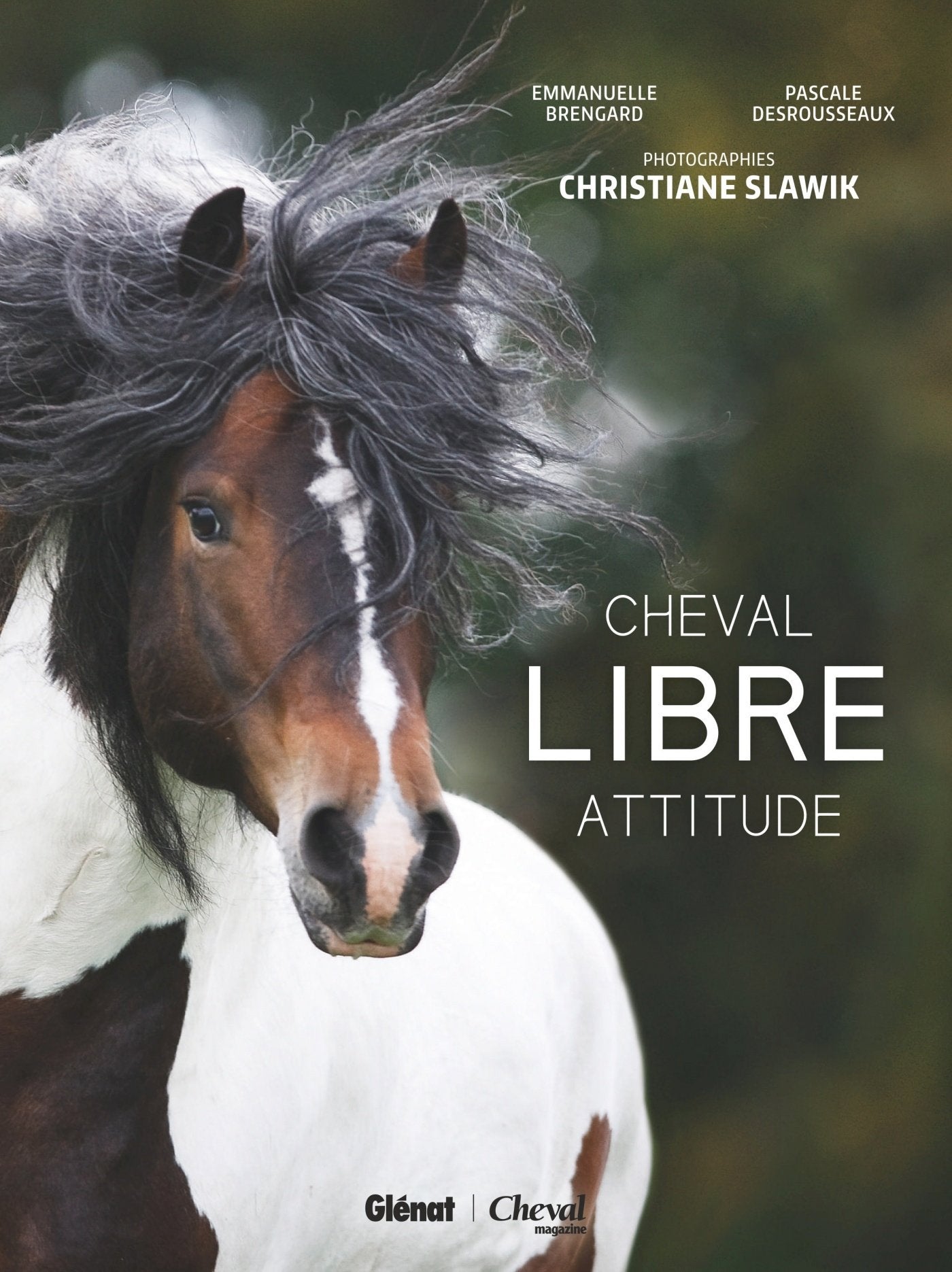 Cheval libre attitude: Par Christiane Slawik book