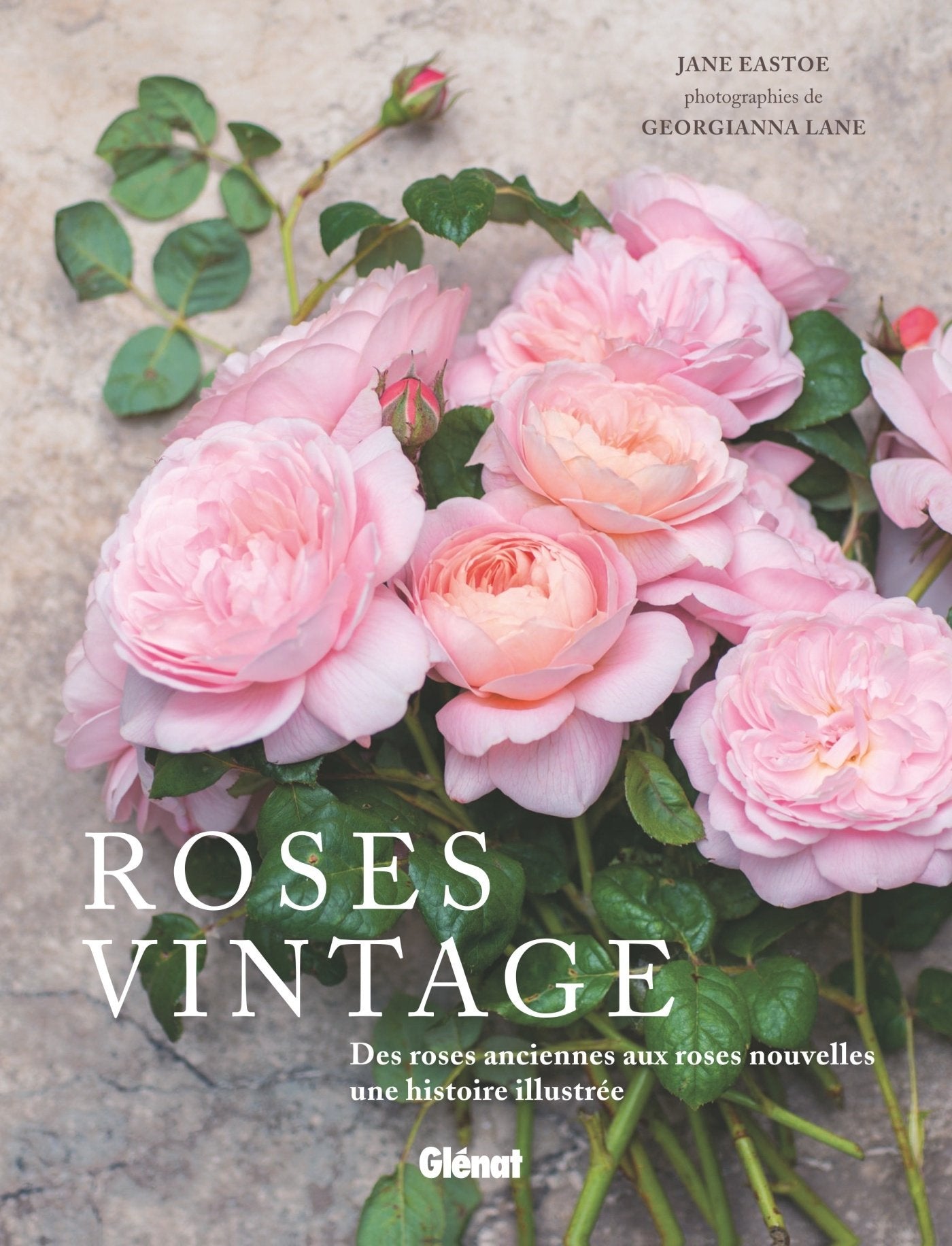 Roses vintage: Des roses anciennes aux roses nouvelles : une histoire illustrée Film, Art & Culture