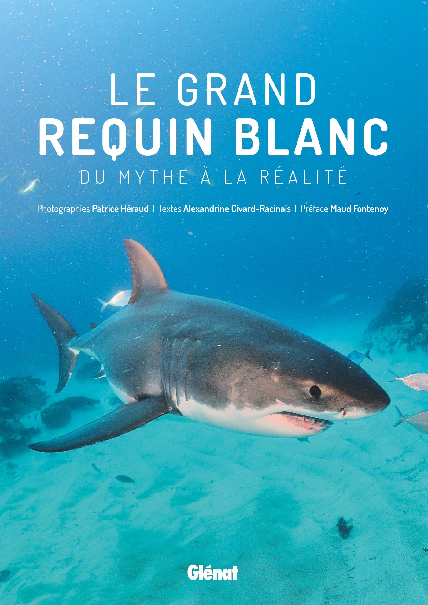 Le grand requin blanc: Du mythe à la réalité book
