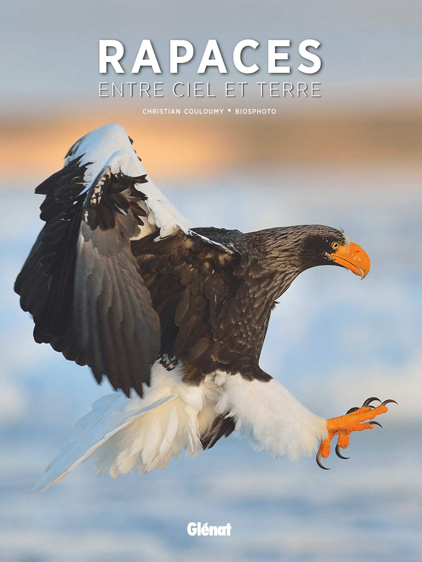 Rapaces, entre ciel et terre book