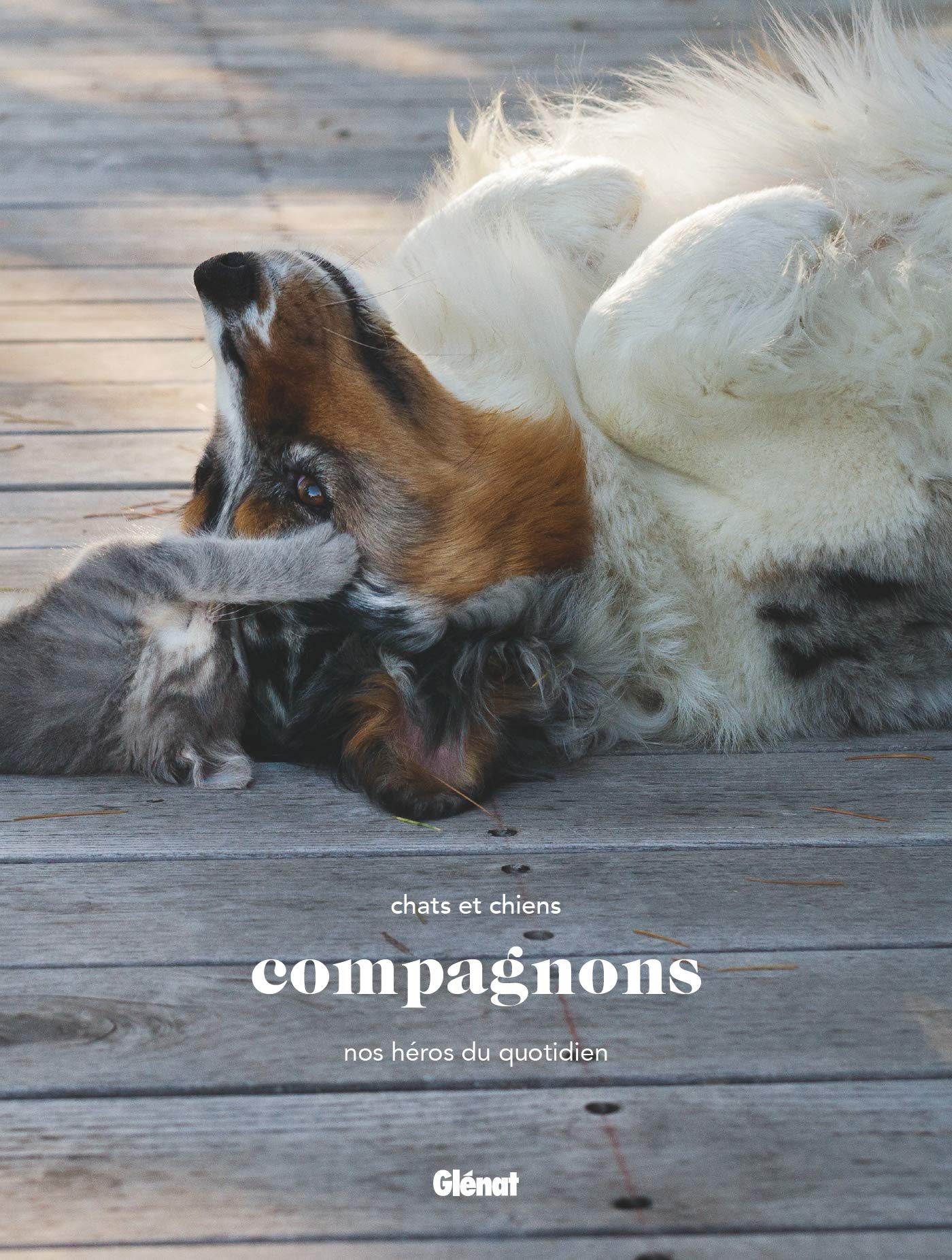 Compagnons: Chats et chiens, nos héros du quotidien book