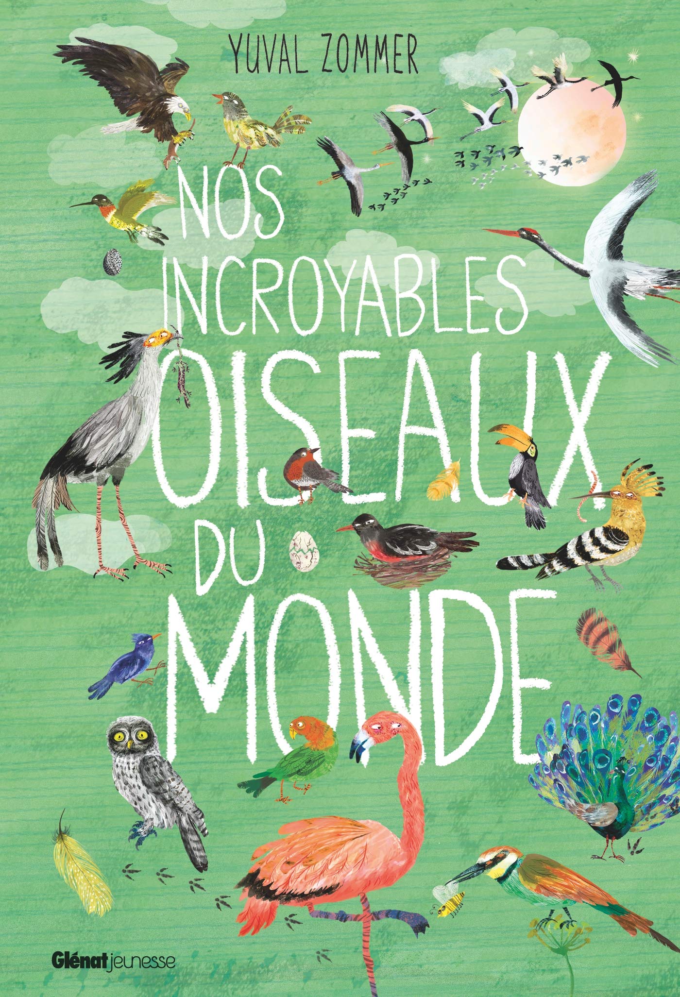 Nos incroyables oiseaux du monde book