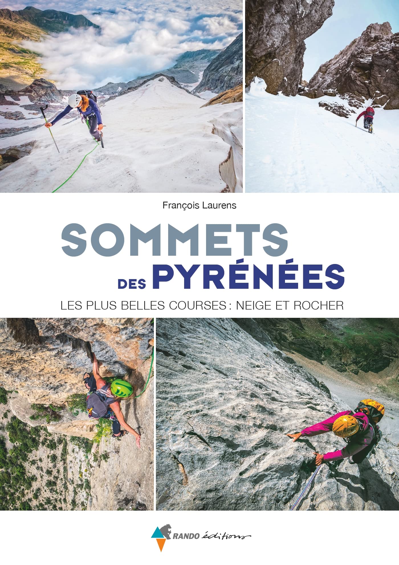 Sommets des Pyrénées: Les plus belles courses : neige et rocher book