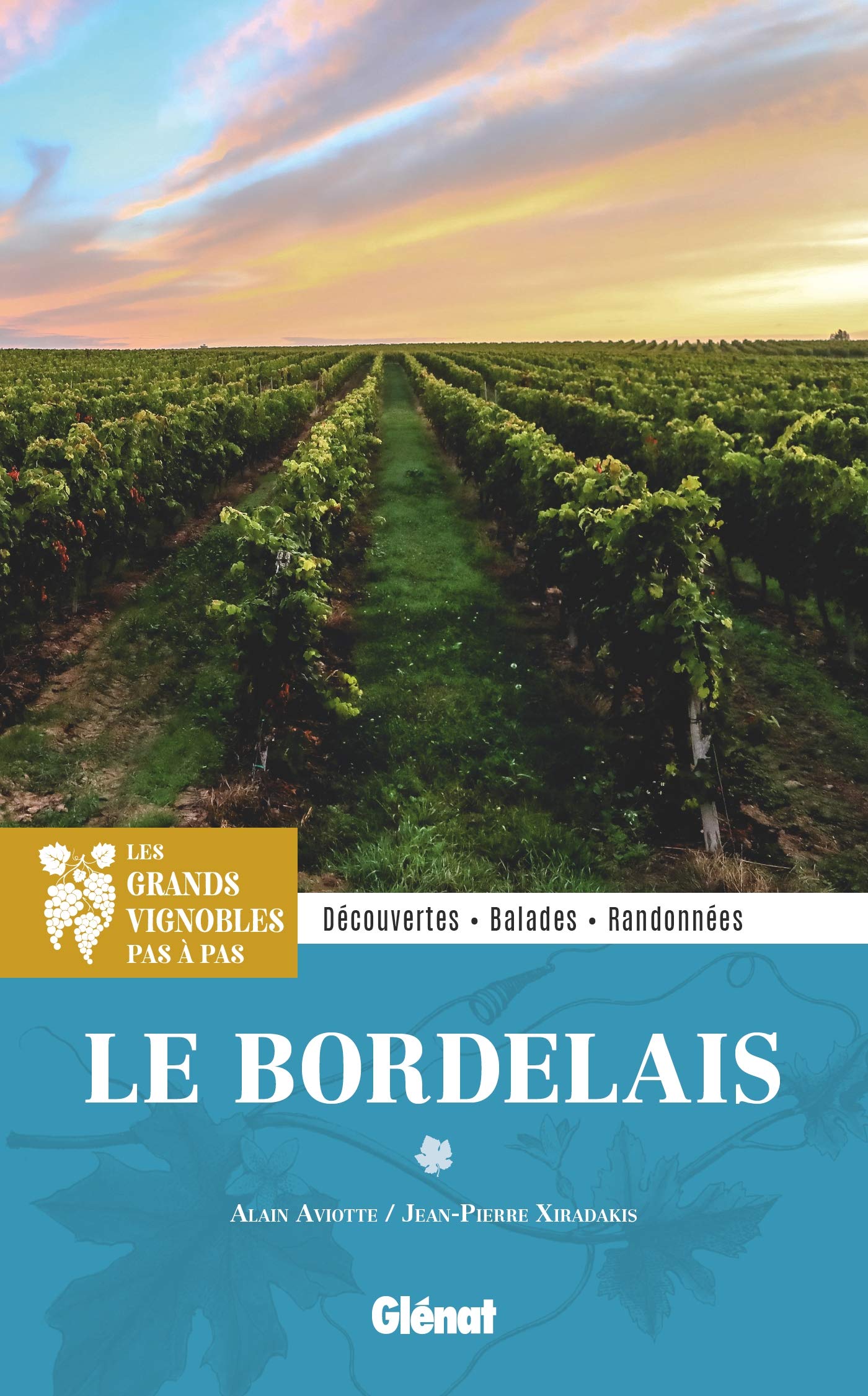 Dans les grands vignobles : le Bordelais: Découvertes, balades et randonnées book